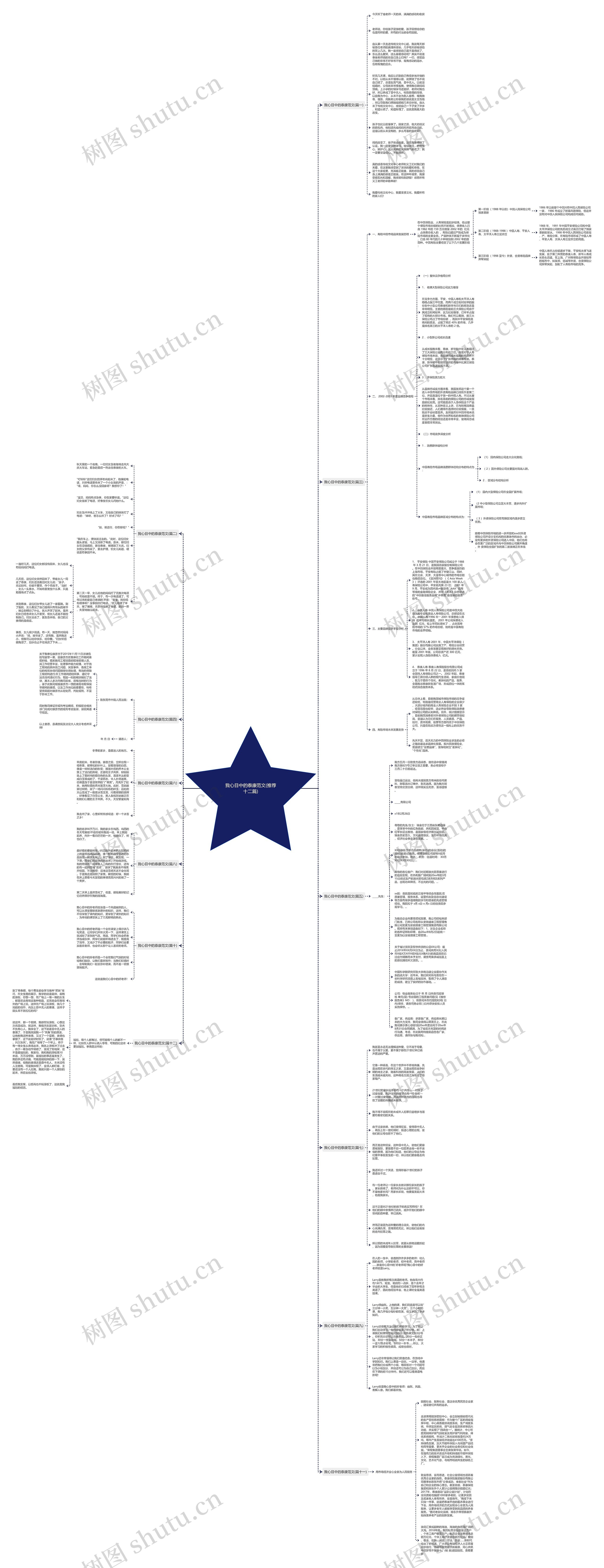 我心目中的泰康范文(推荐十二篇)思维导图