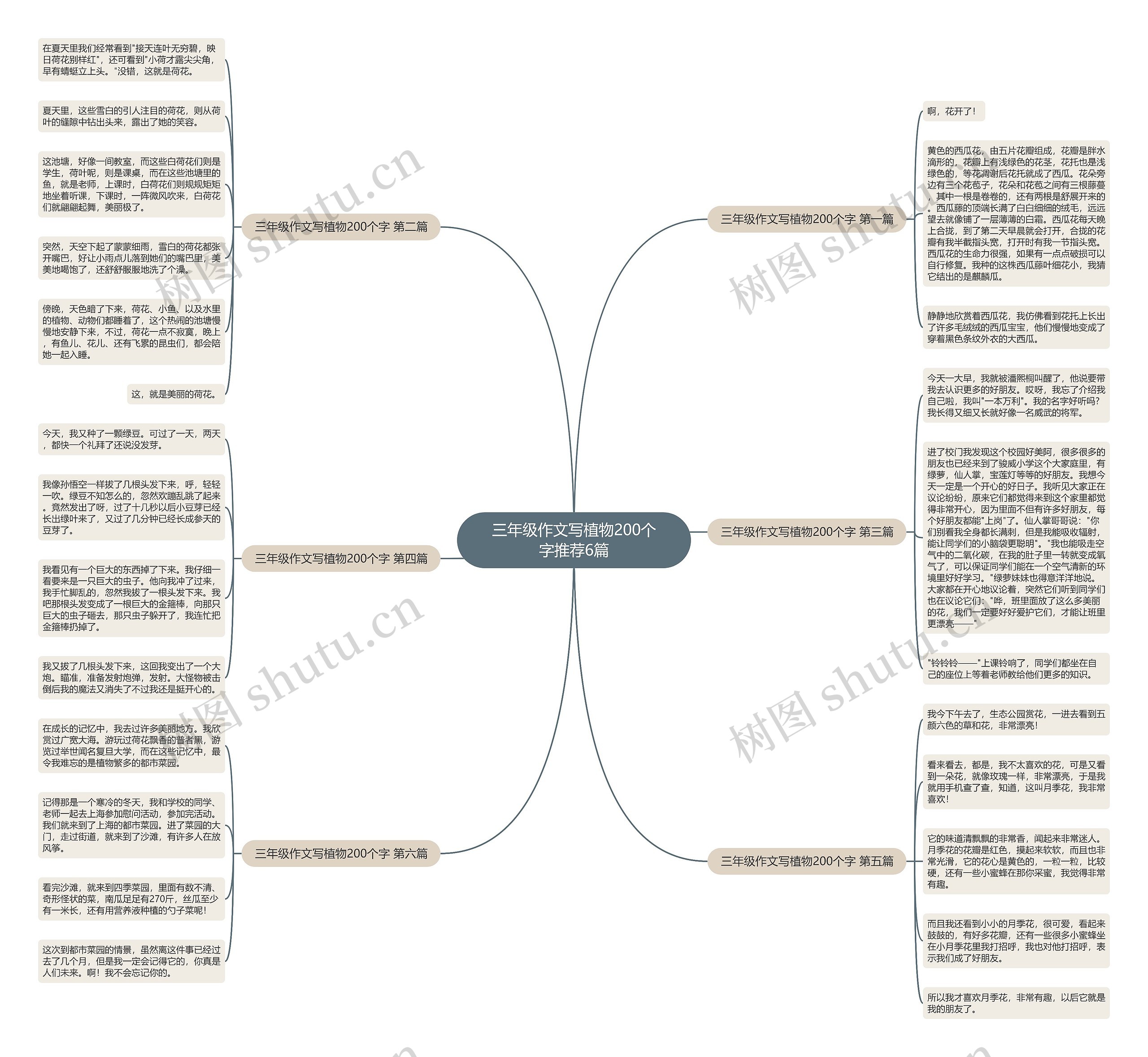 三年级作文写植物200个字推荐6篇思维导图