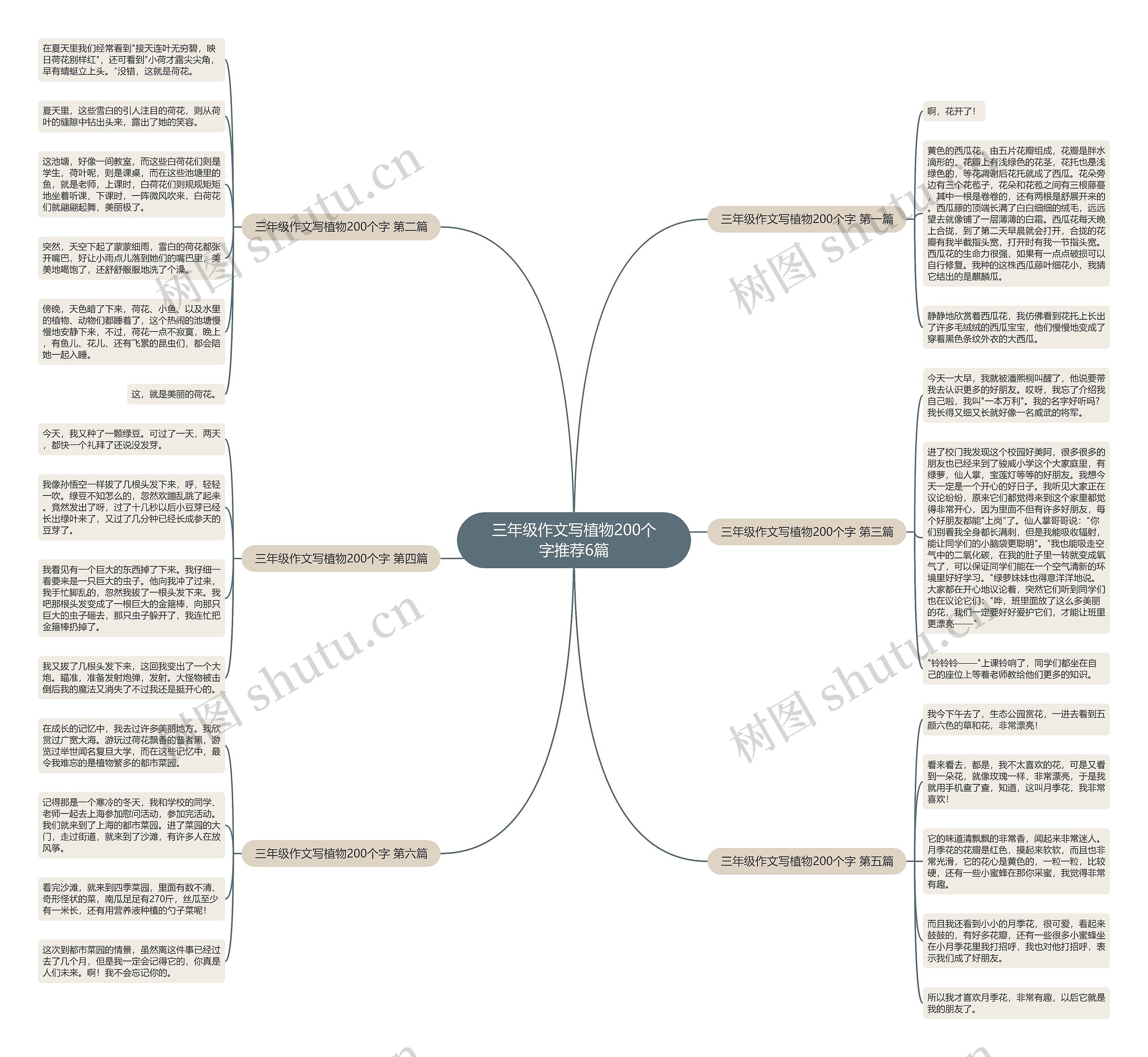 三年级作文写植物200个字推荐6篇 三年级作文写植物200个字推荐6篇