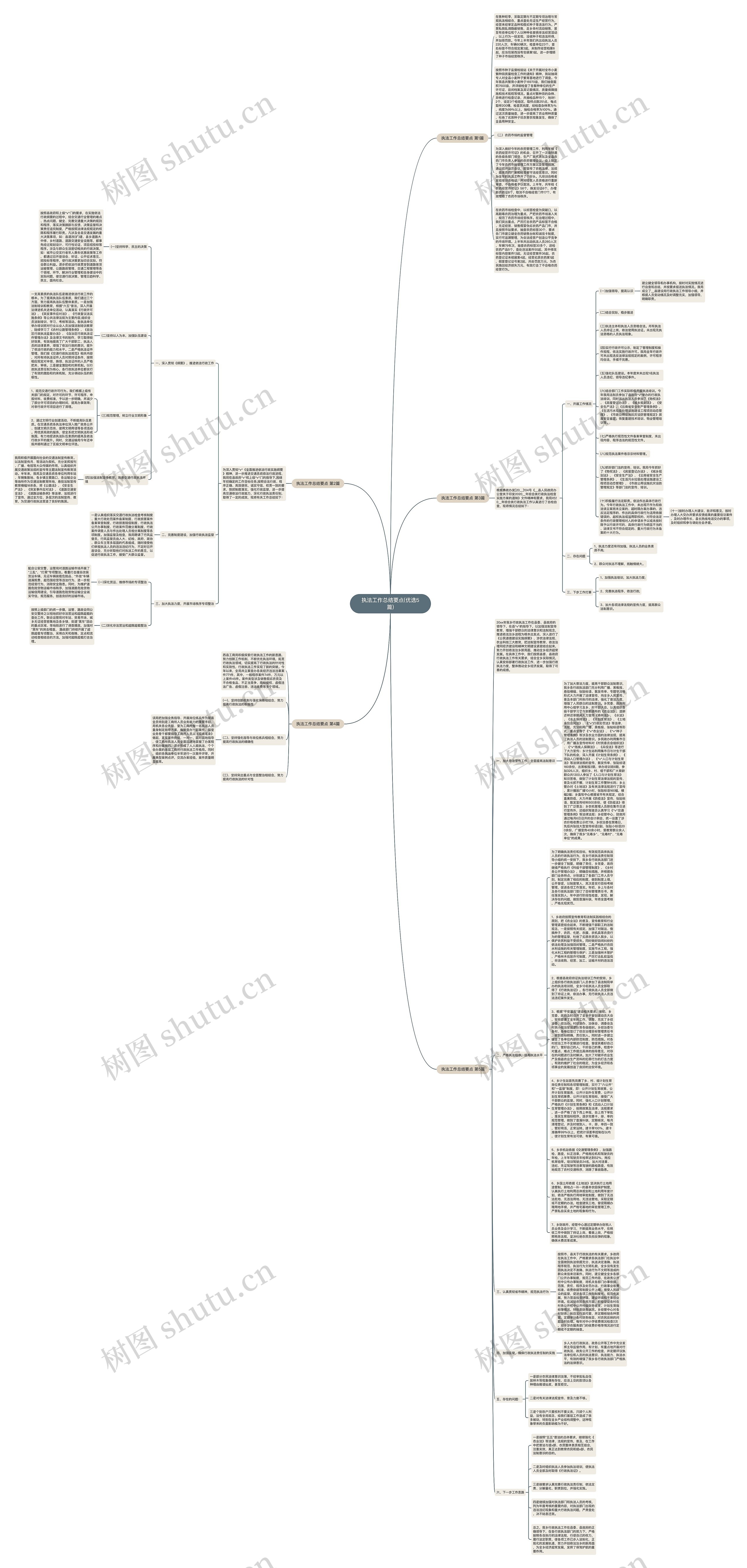 执法工作总结要点(优选5篇)思维导图