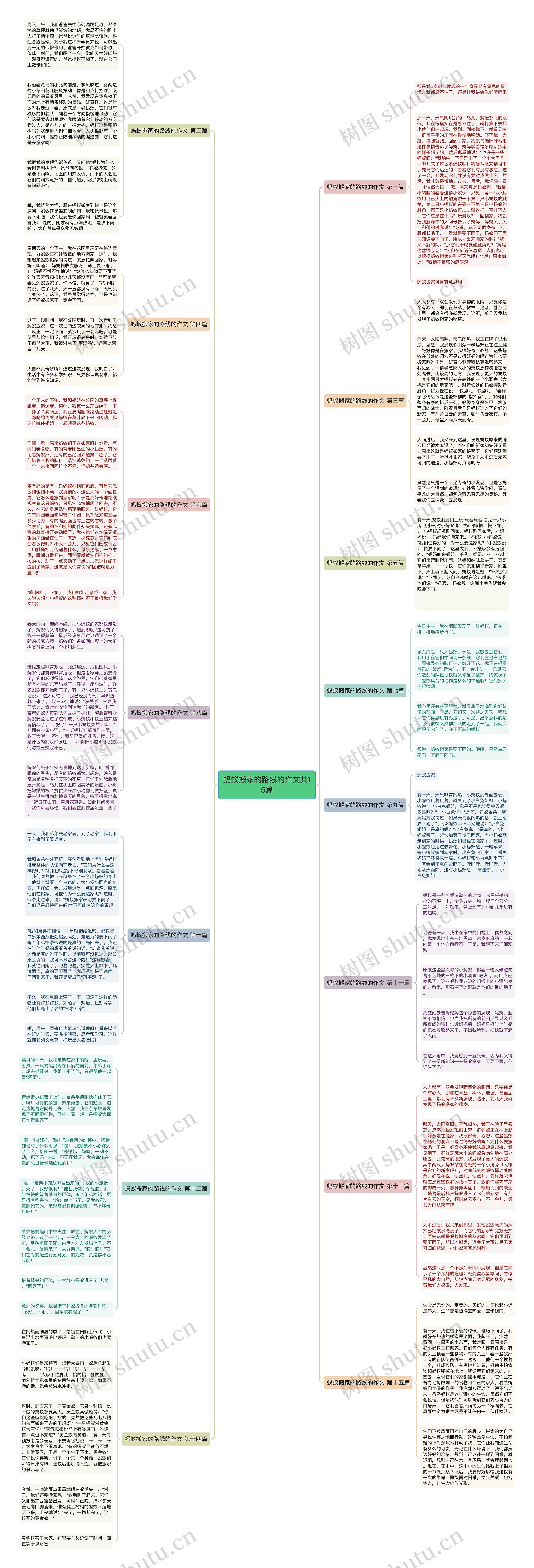 蚂蚁搬家的路线的作文共15篇思维导图