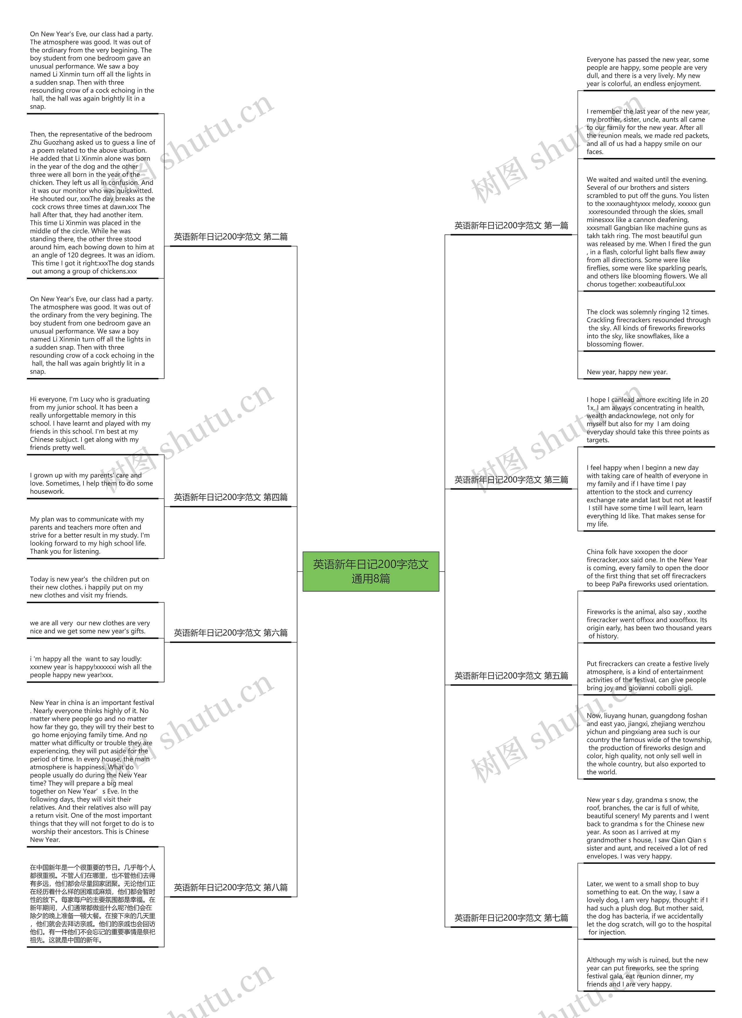 英语新年日记200字范文通用8篇思维导图