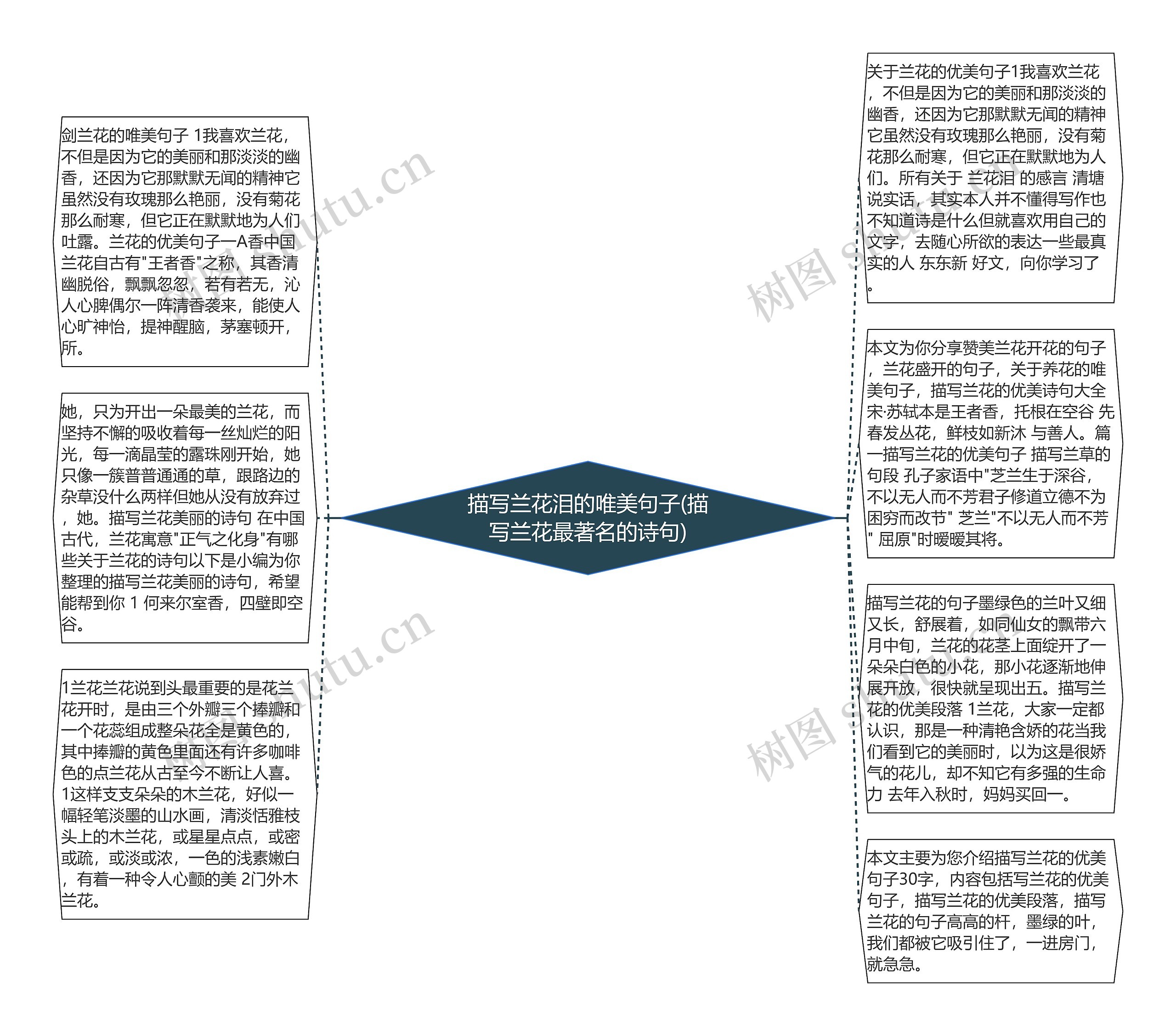 描写兰花泪的唯美句子(描写兰花最著名的诗句)思维导图