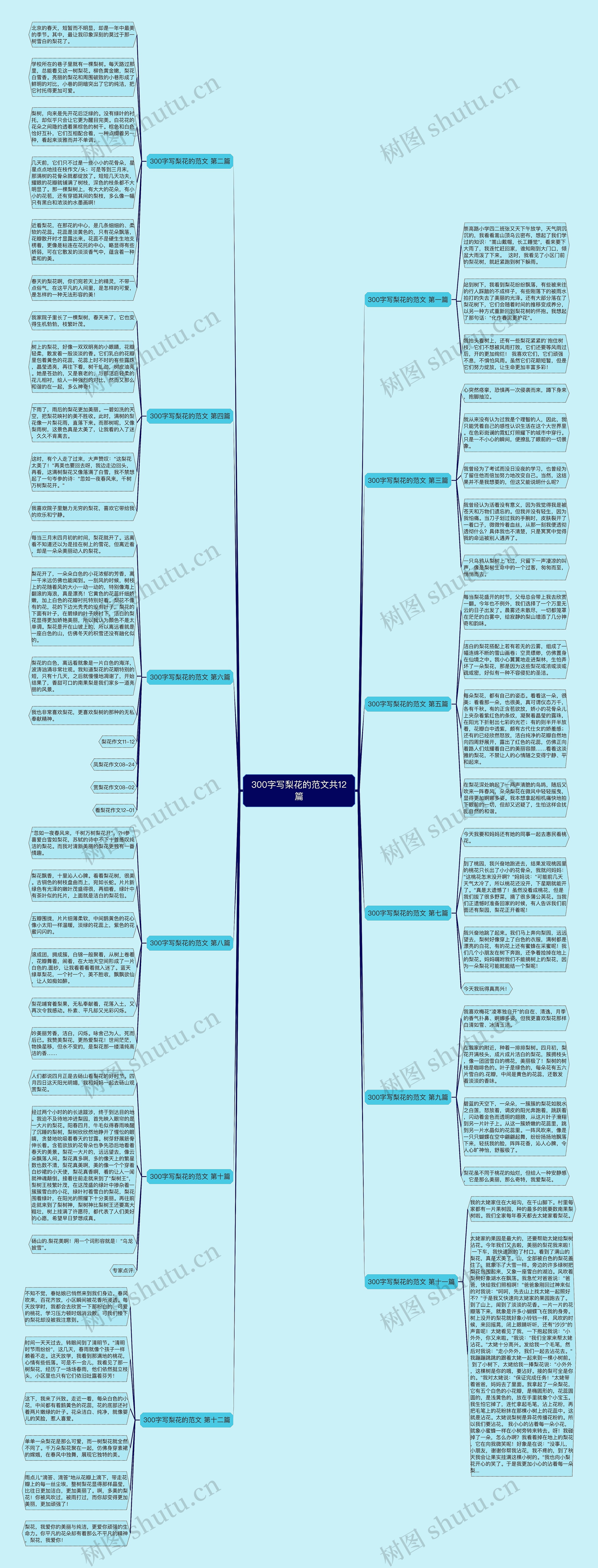 300字写梨花的范文共12篇 300字写梨花的范文共12篇
