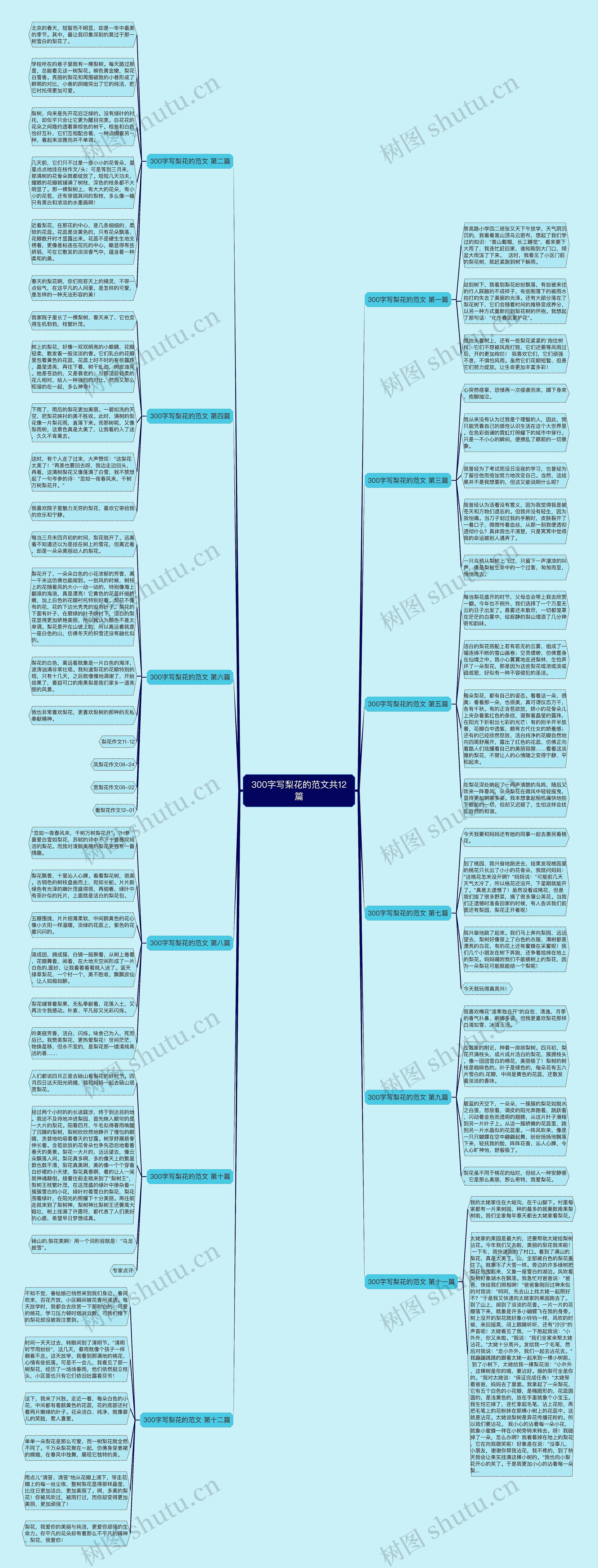 300字写梨花的范文共12篇思维导图