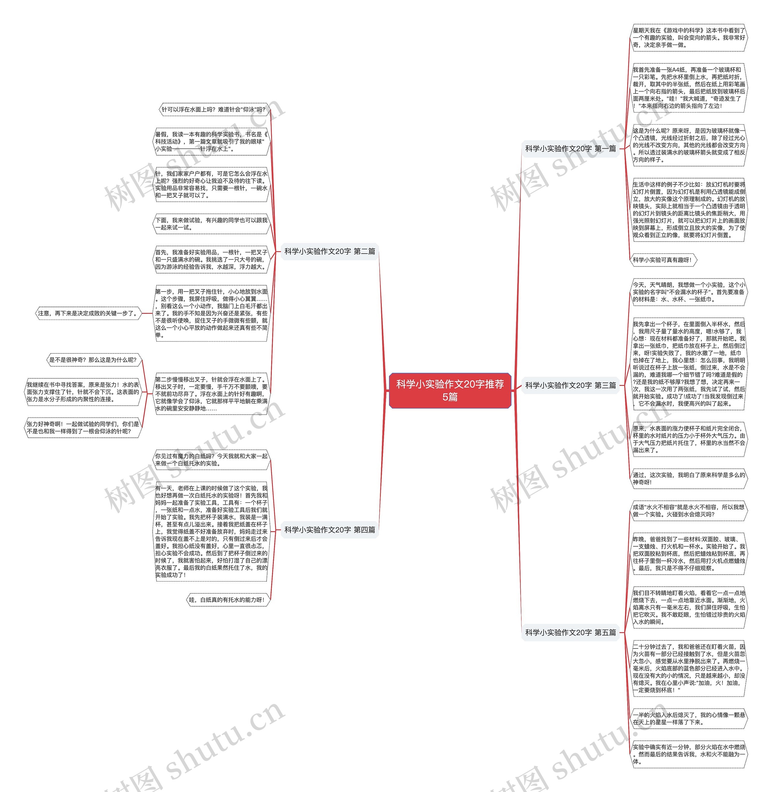科学小实验作文20字推荐5篇思维导图