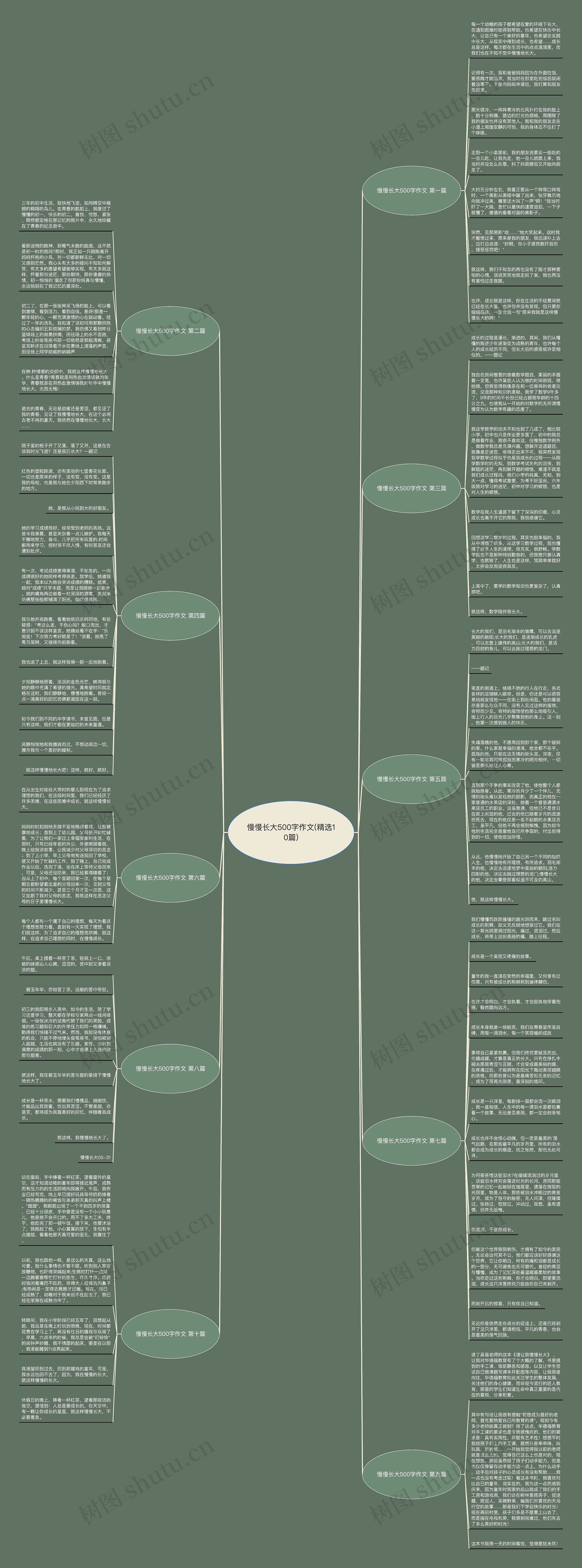 慢慢长大500字作文(精选10篇)思维导图
