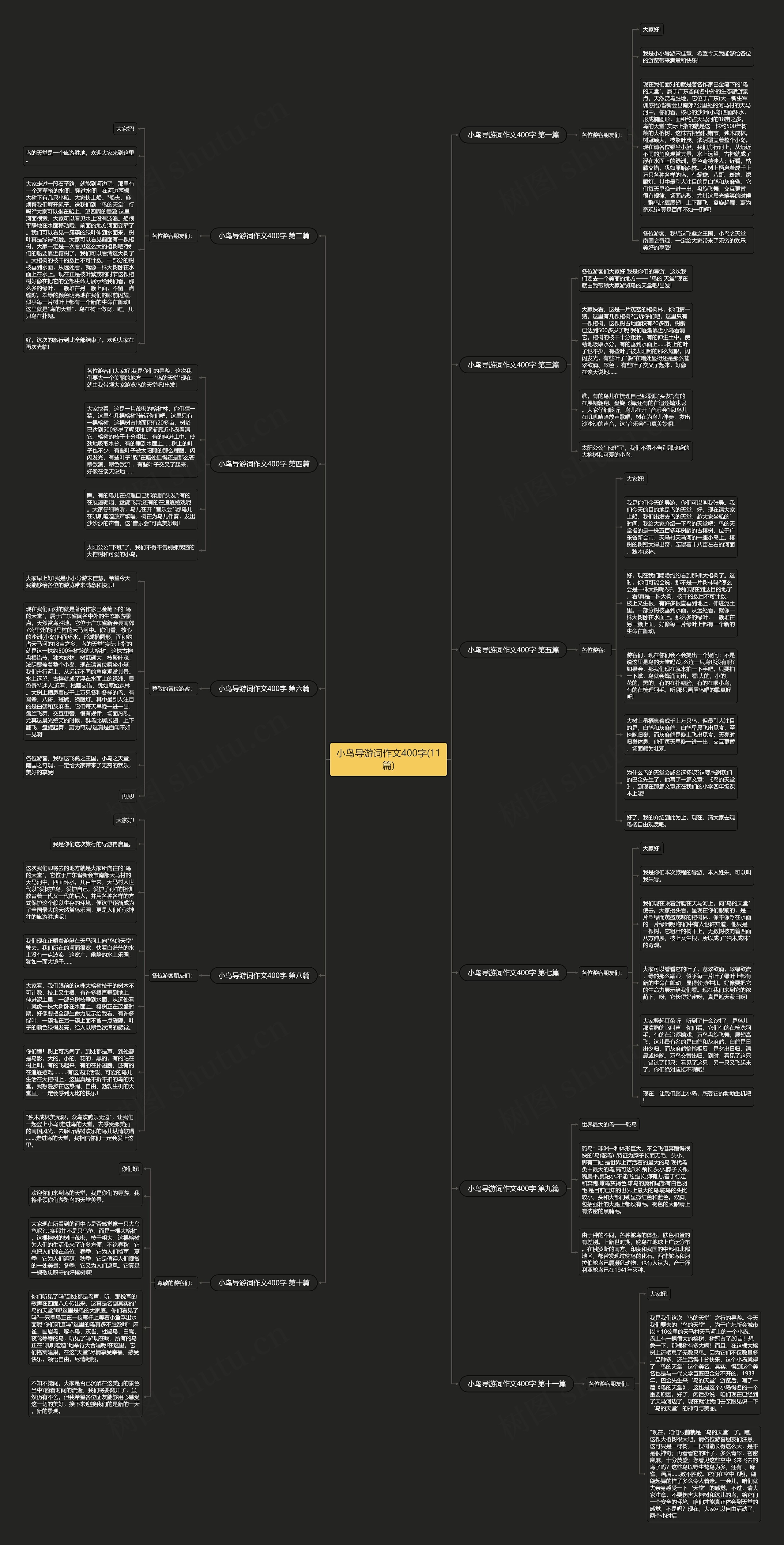 小鸟导游词作文400字(11篇)思维导图