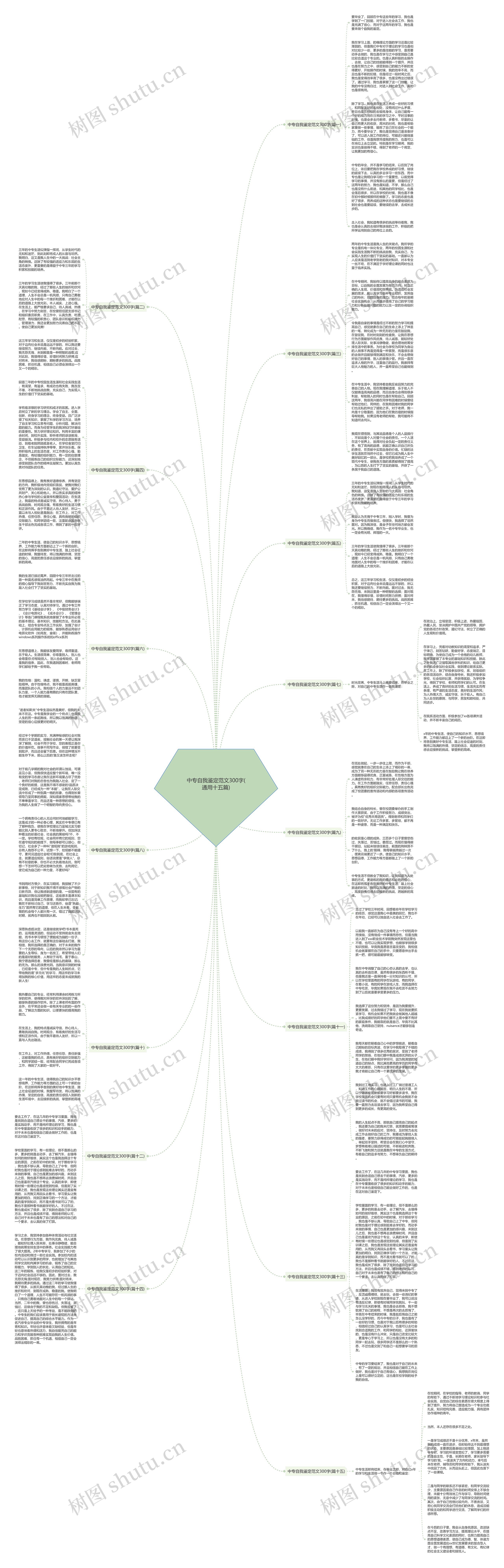 中专自我鉴定范文300字(通用十五篇)思维导图