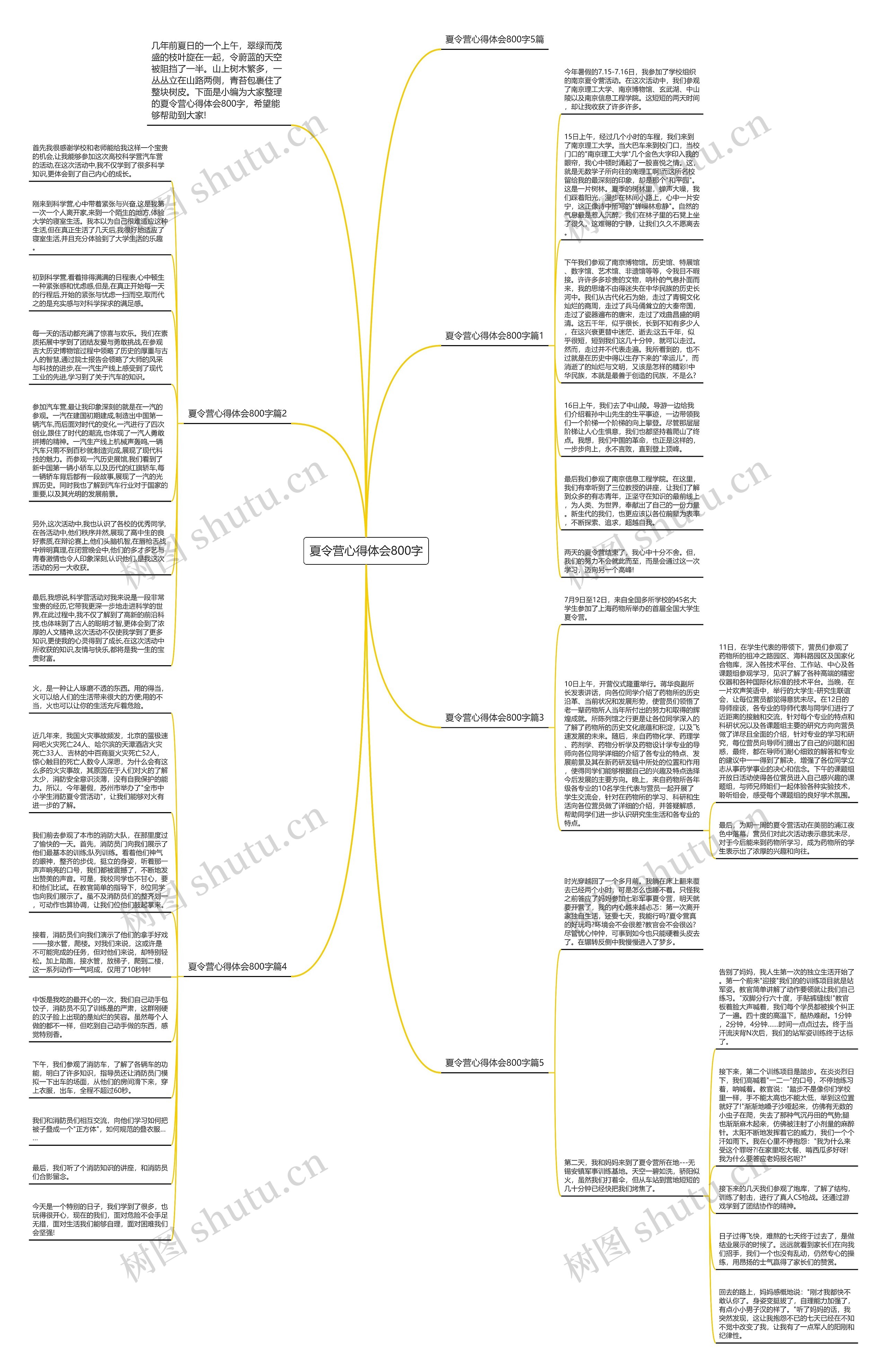 夏令营心得体会800字思维导图