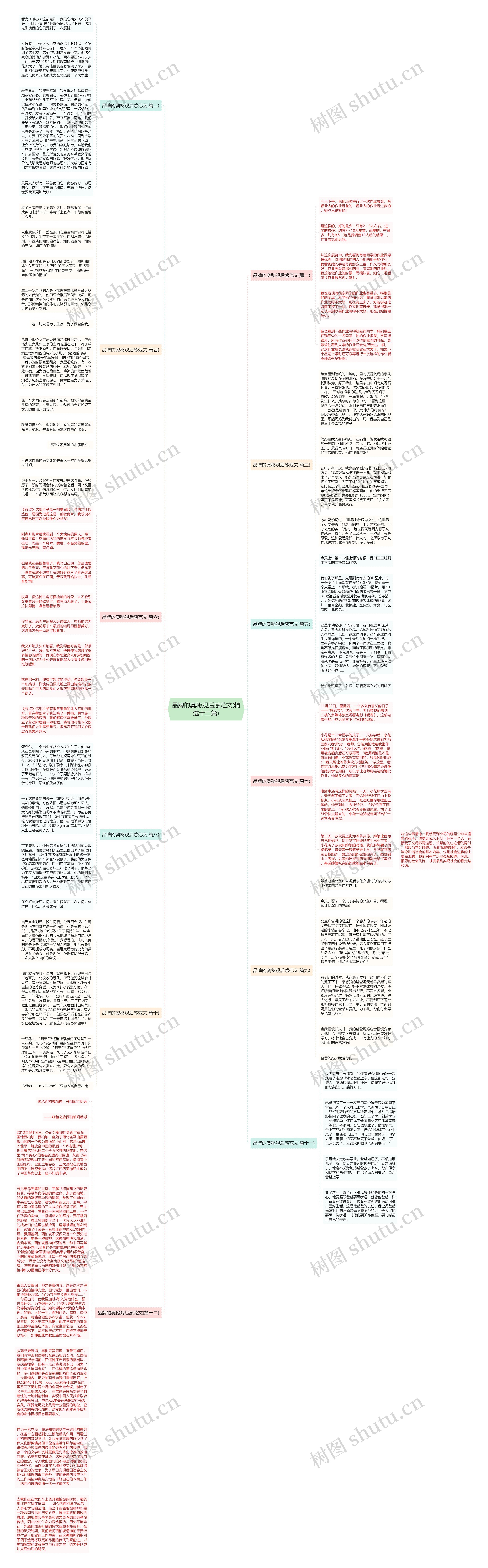 品牌的奥秘观后感范文(精选十二篇)思维导图