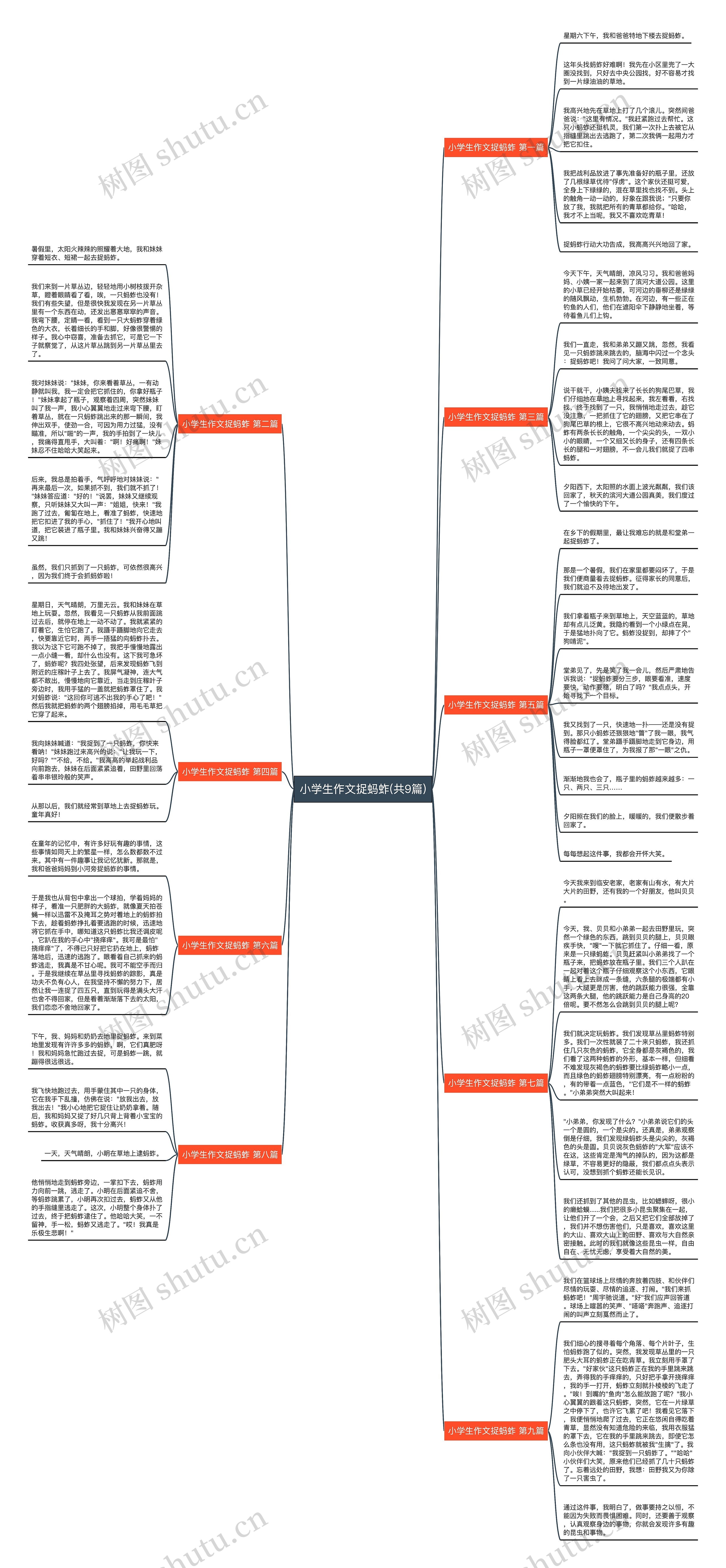 小学生作文捉蚂蚱(共9篇)思维导图