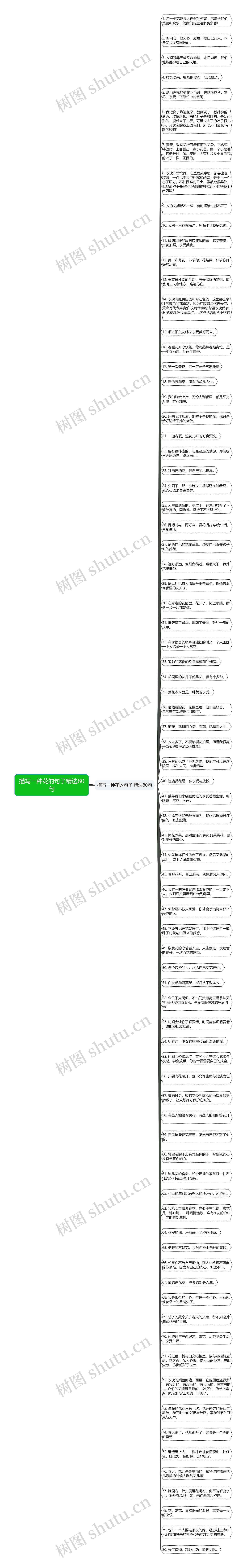 描写一种花的句子精选80句思维导图