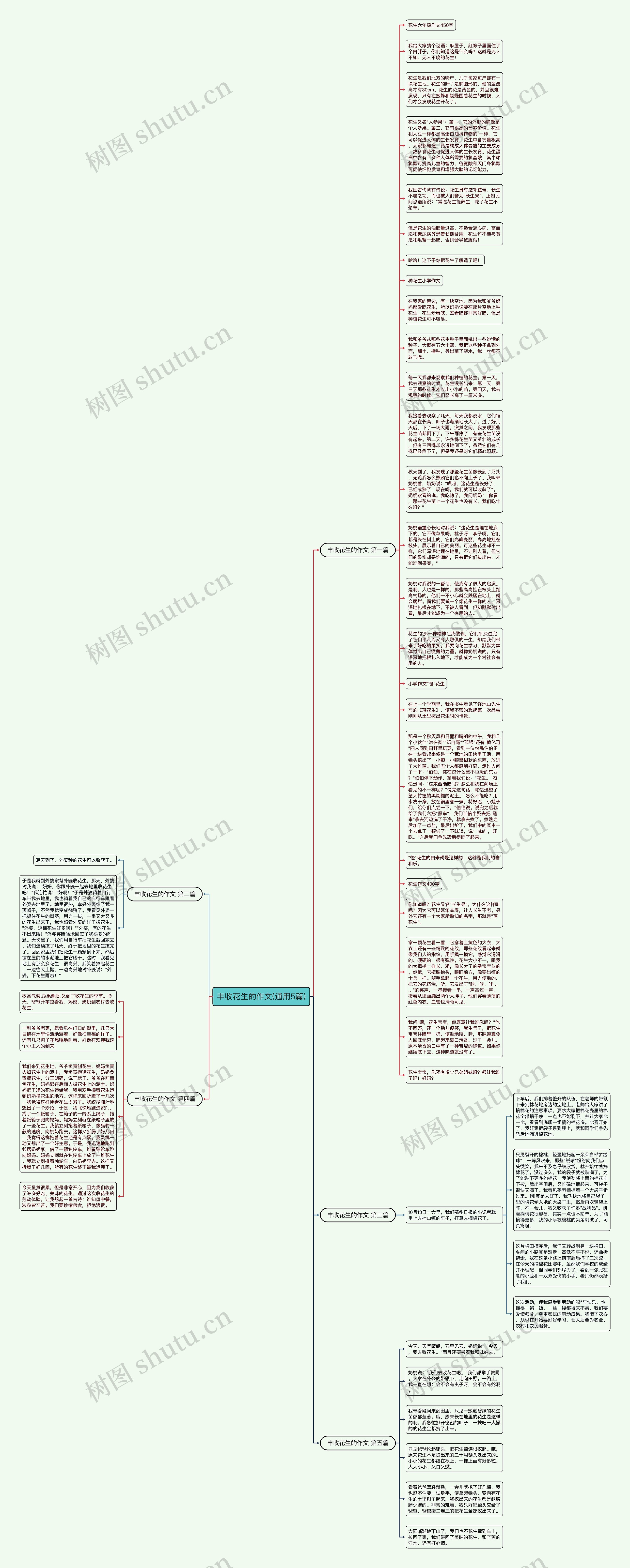 丰收花生的作文(通用5篇)思维导图