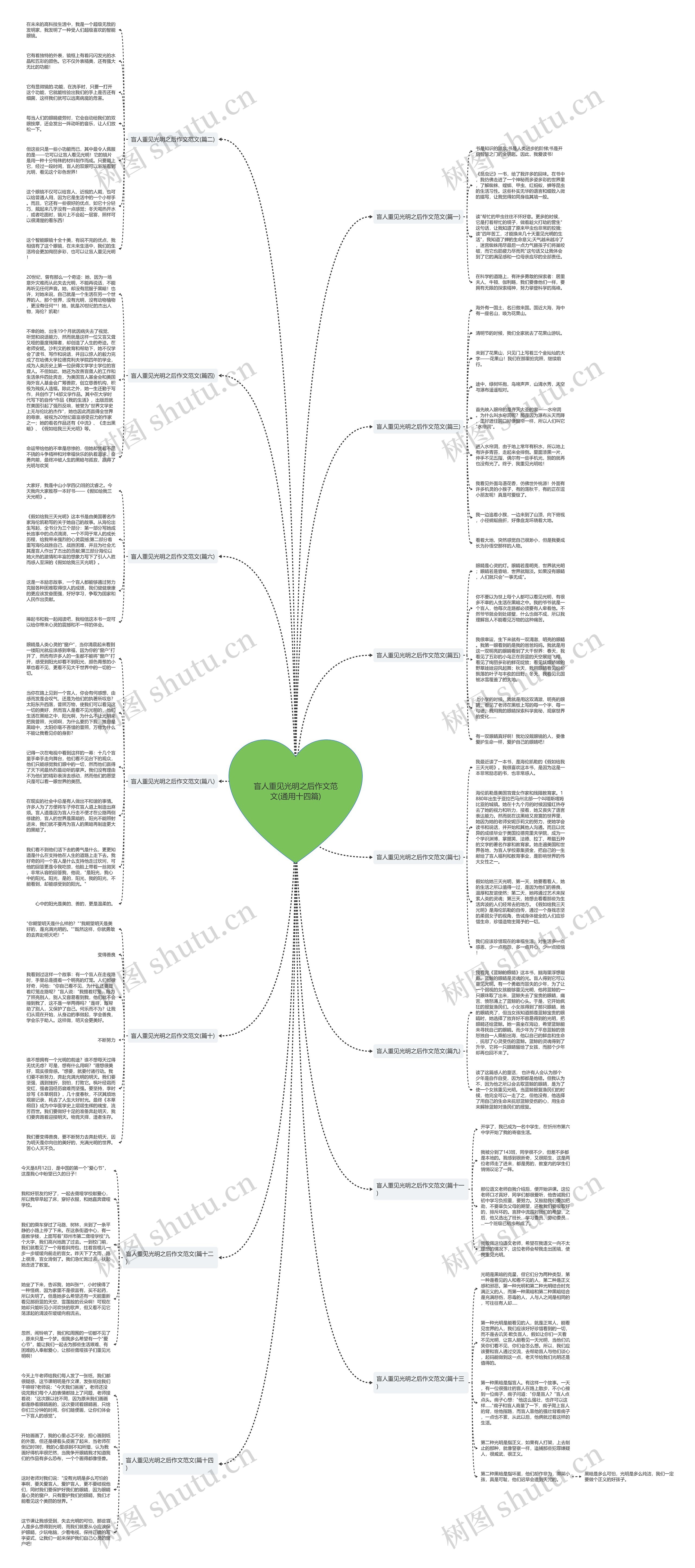 盲人重见光明之后作文范文(通用十四篇)思维导图