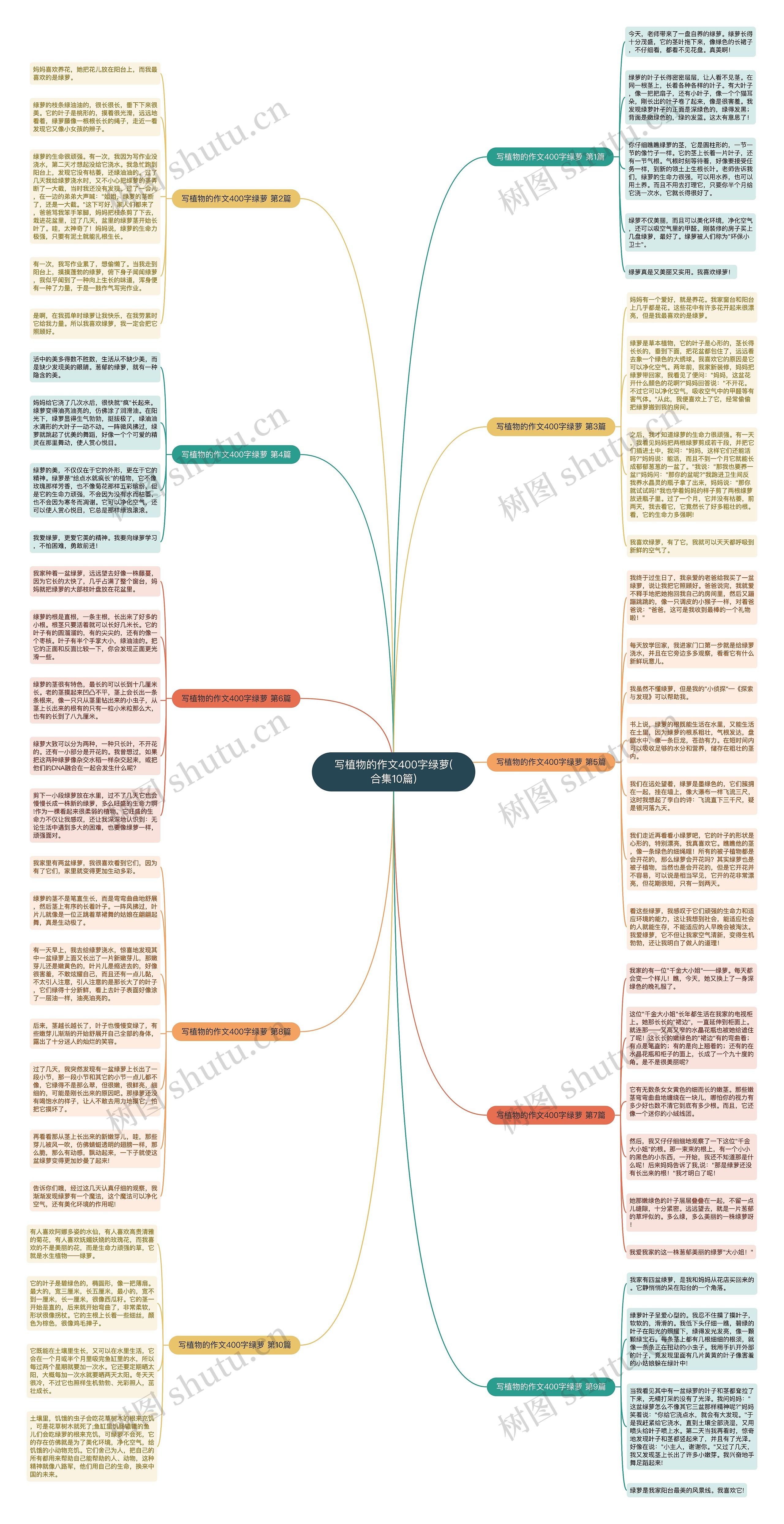写植物的作文400字绿萝(合集10篇) 写植物的作文400字绿萝(合集10篇)
