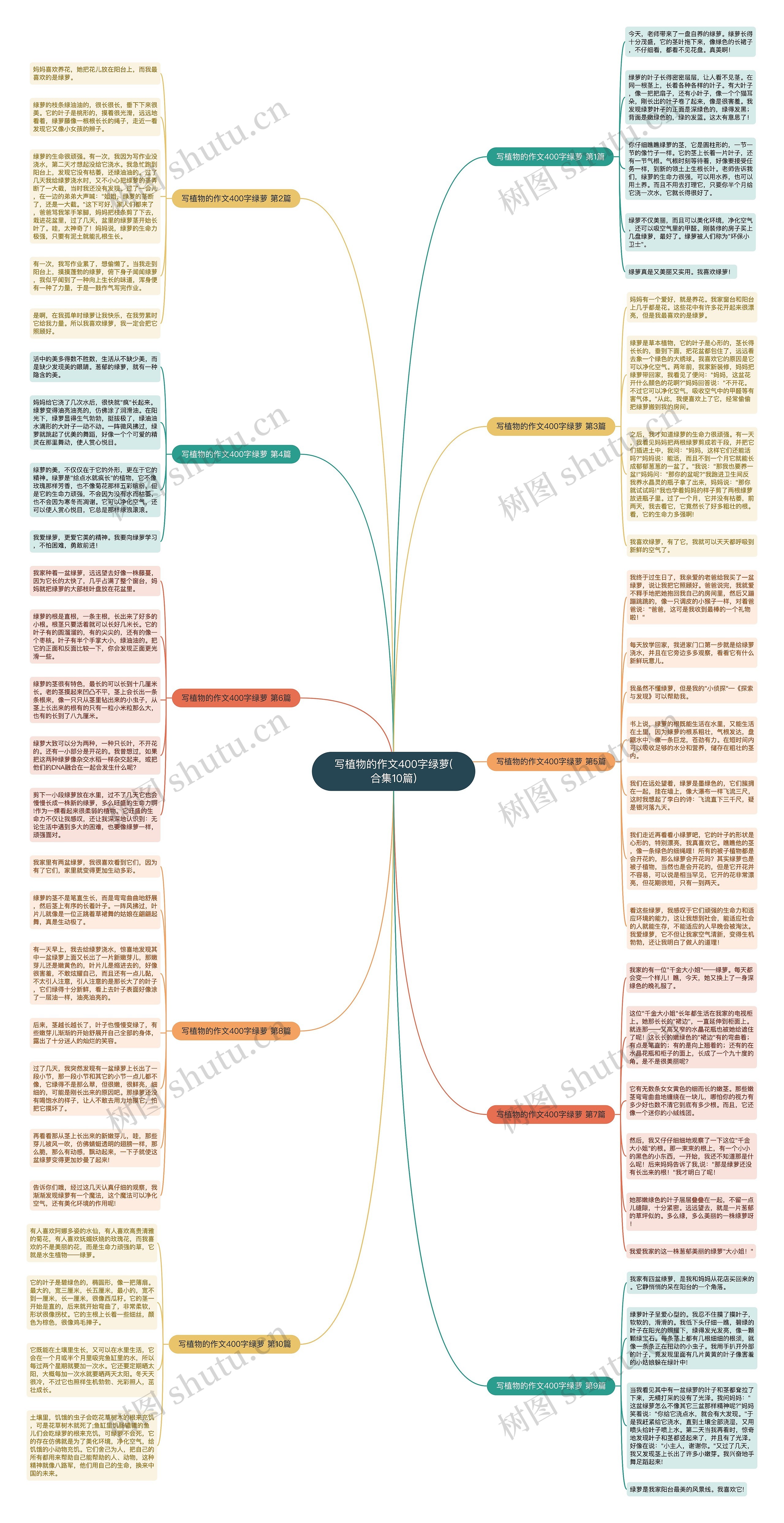 写植物的作文400字绿萝(合集10篇)思维导图