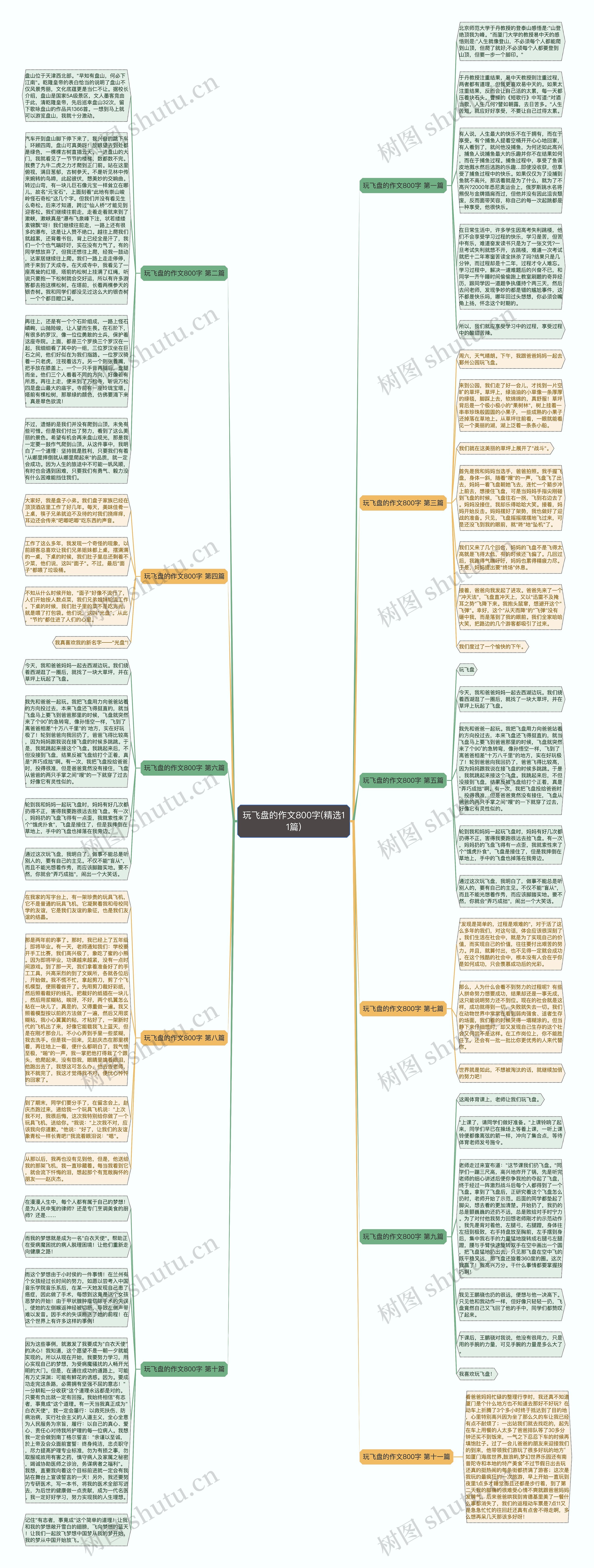 玩飞盘的作文800字(精选11篇)思维导图