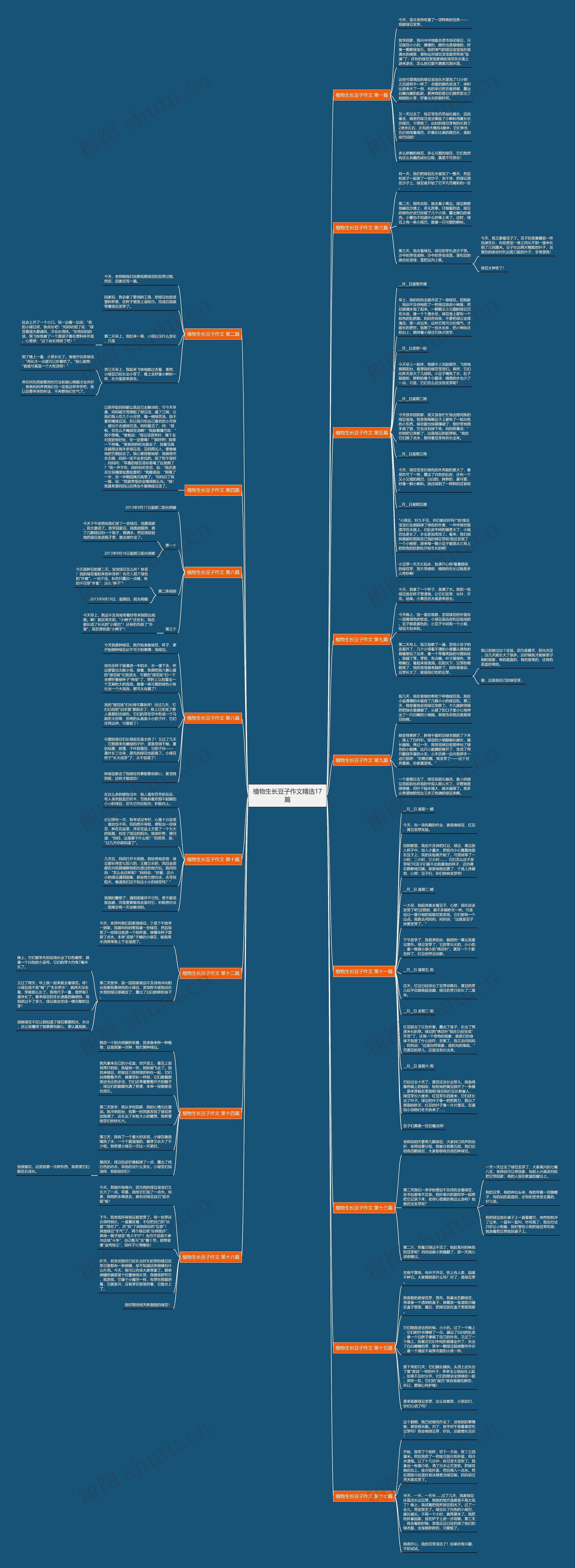 植物生长豆子作文精选17篇思维导图