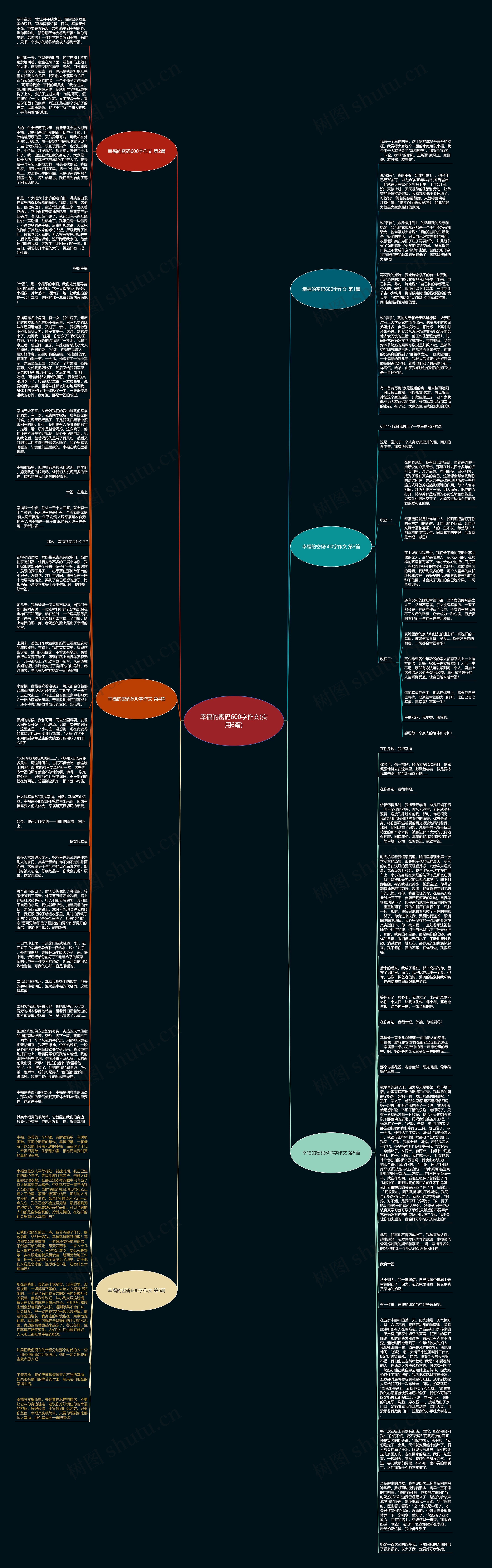 幸福的密码600字作文(实用6篇)思维导图