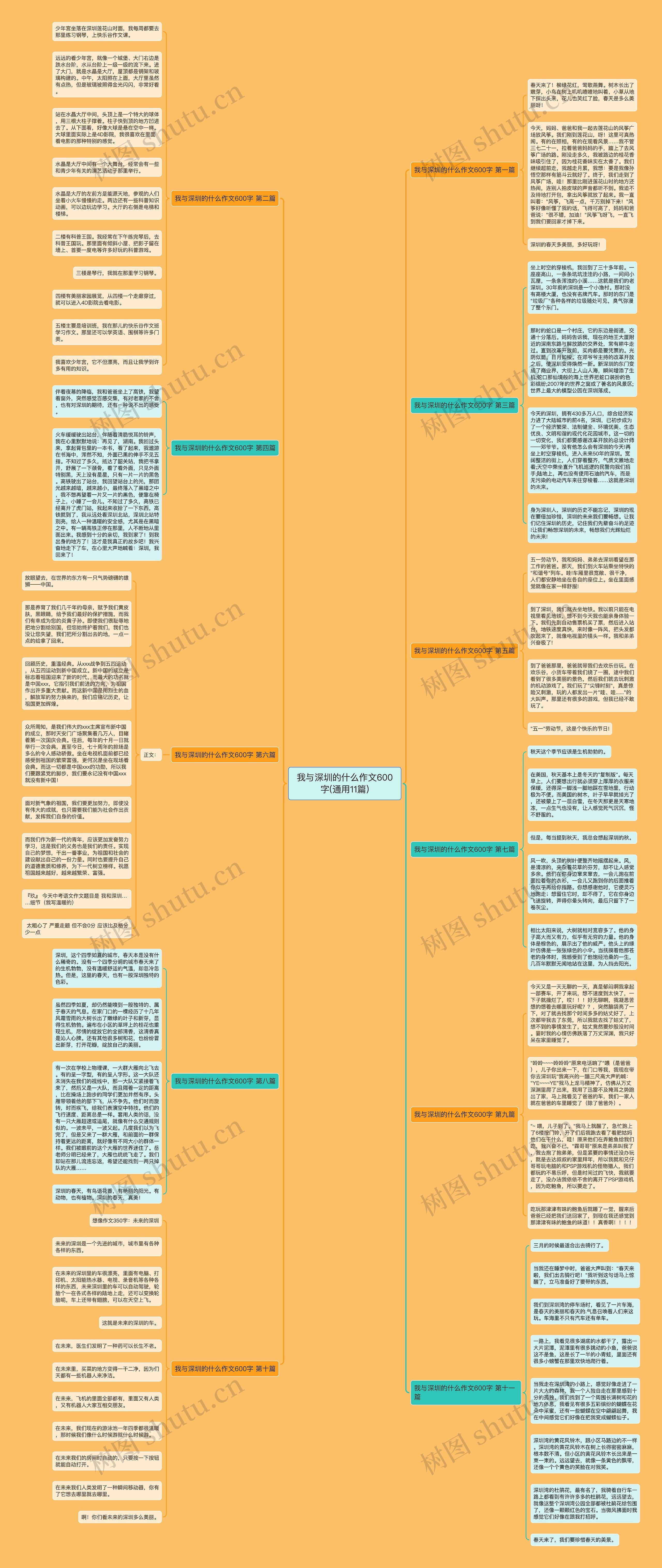 我与深圳的什么作文600字(通用11篇)思维导图