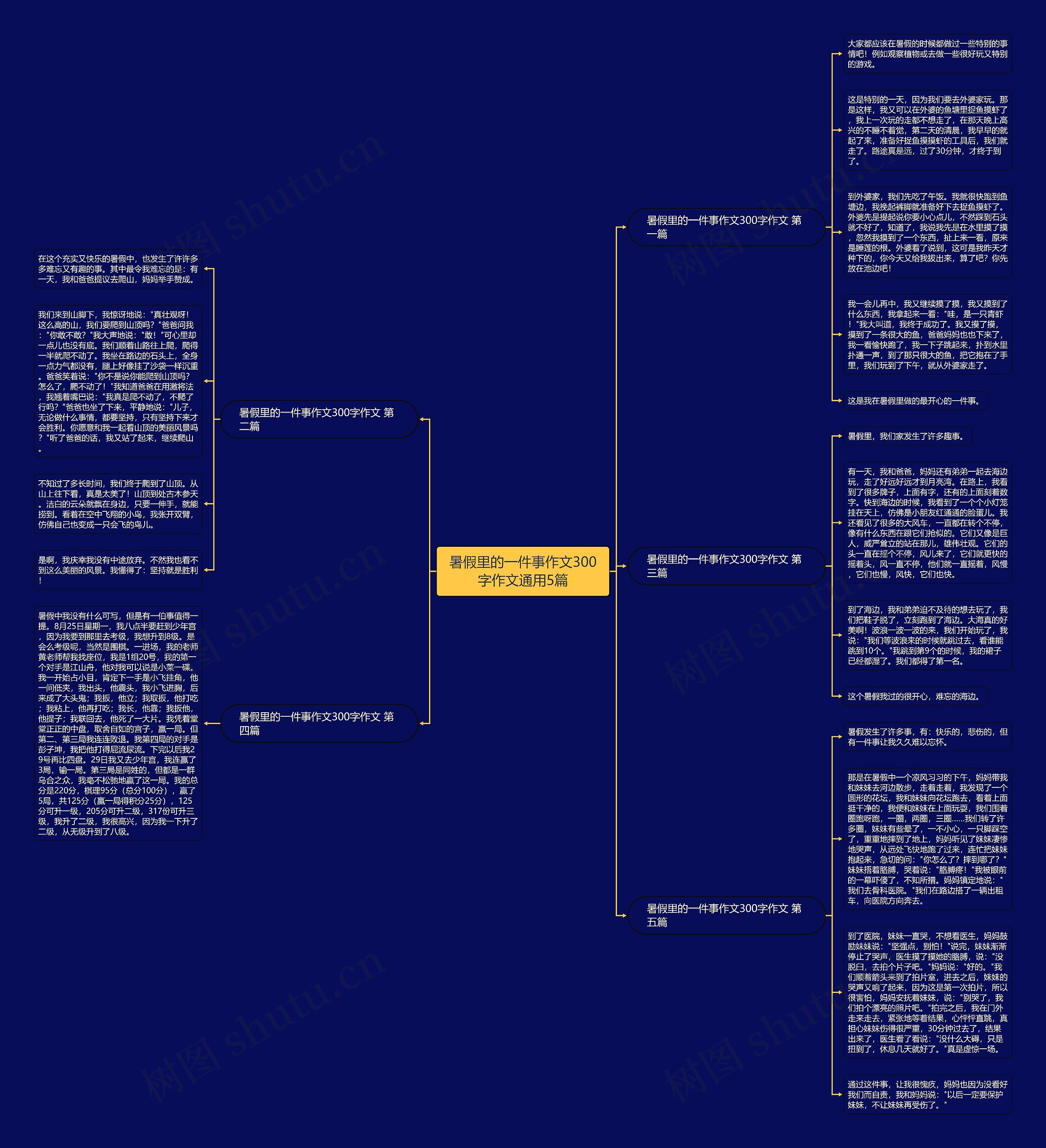 暑假里的一件事作文300字作文通用5篇思维导图