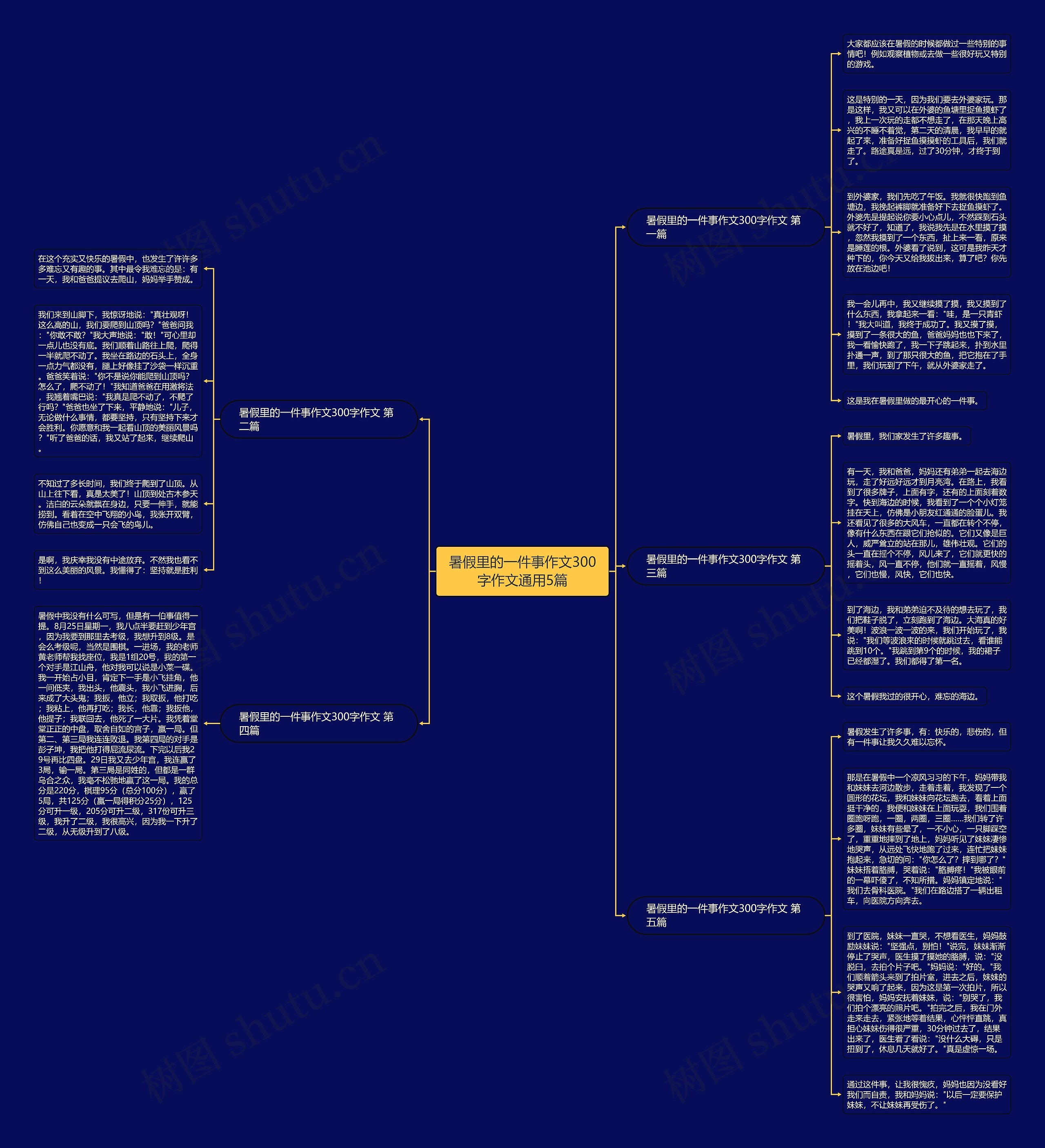 暑假里的一件事作文300字作文通用5篇思维导图高清图 暑假里的一件事作文300字作文通用5篇思维导图