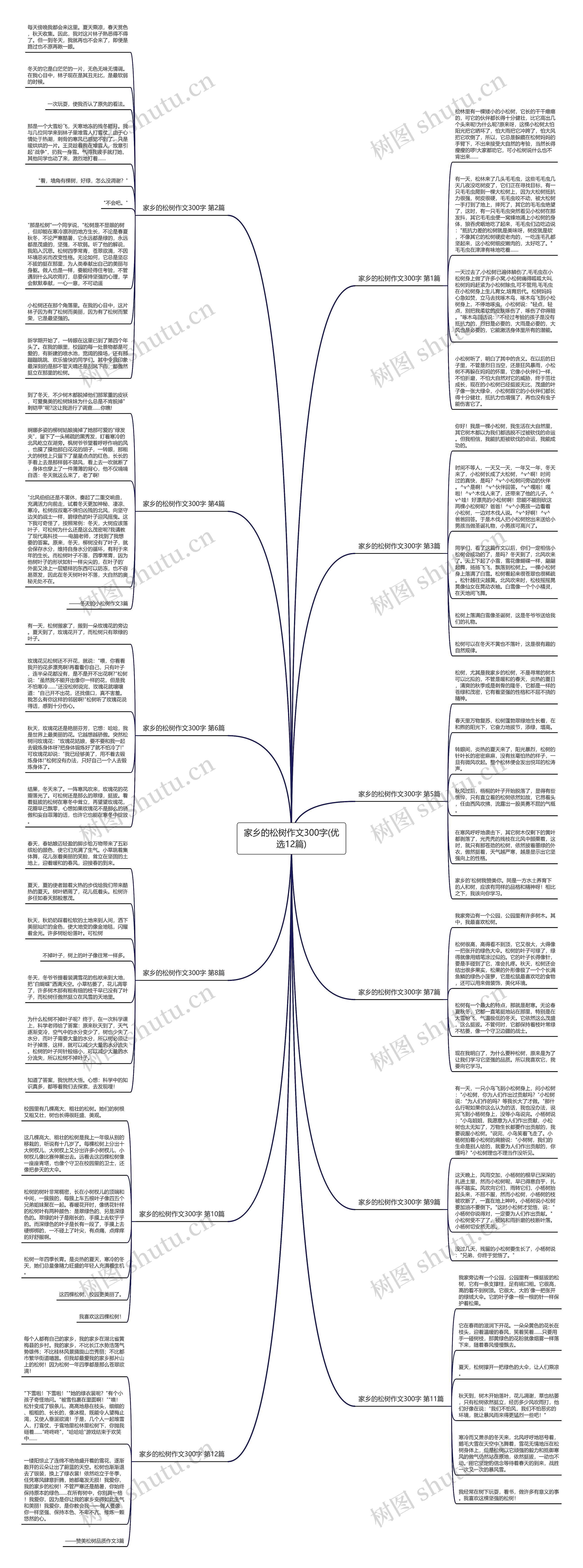 家乡的松树作文300字(优选12篇)思维导图