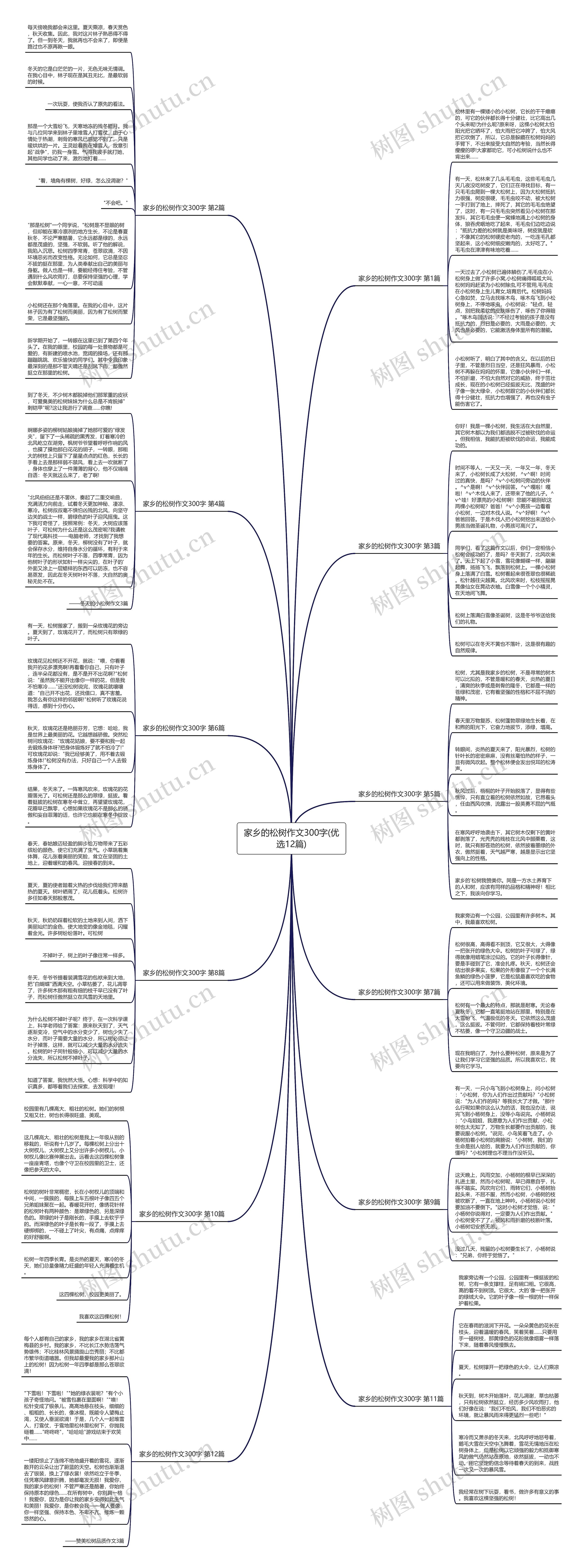 家乡的松树作文300字(优选12篇)思维导图高清图 家乡的松树作文300字(优选12篇)思维导图