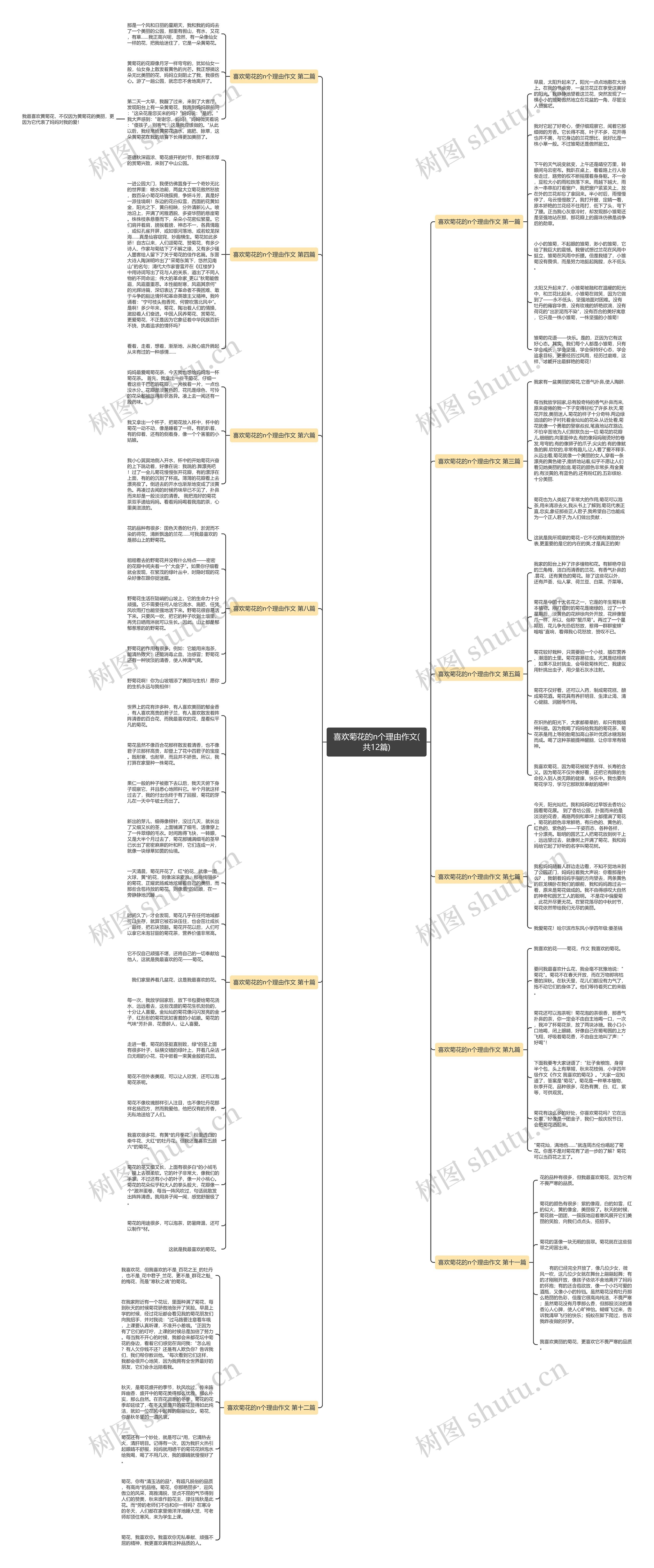 喜欢菊花的n个理由作文(共12篇)思维导图