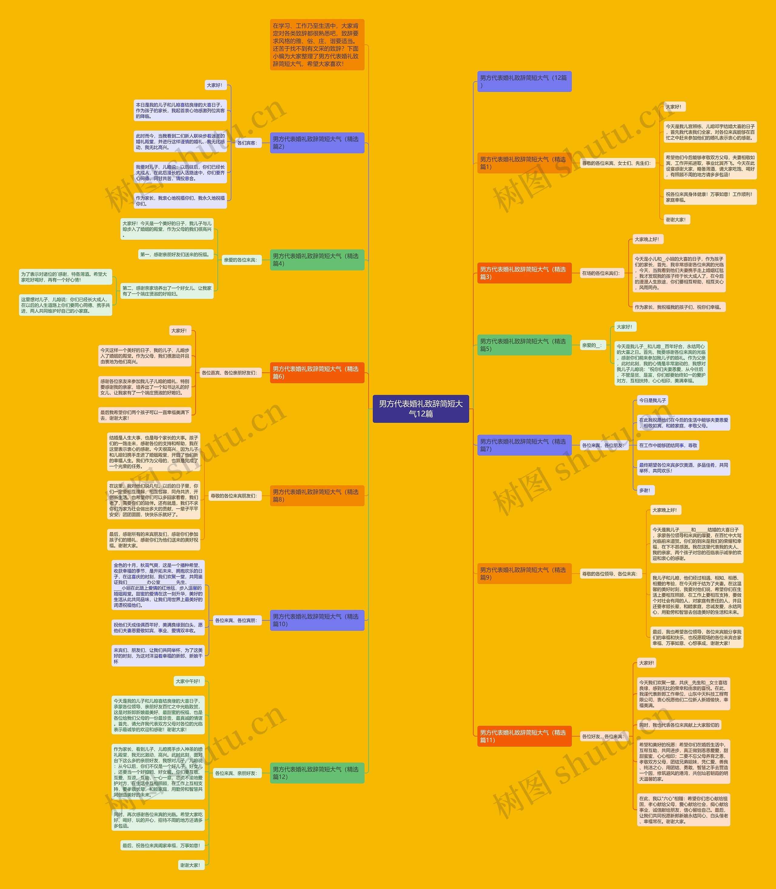 男方代表婚礼致辞简短大气12篇思维导图