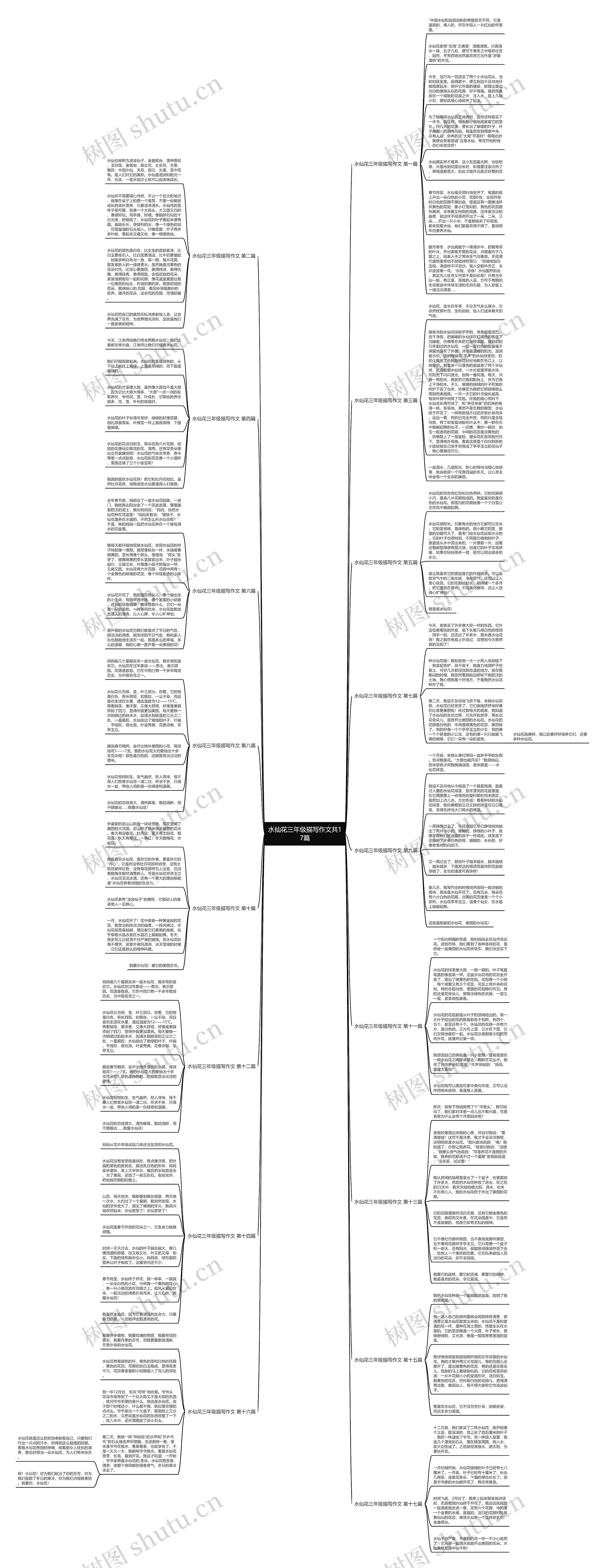 水仙花三年级描写作文共17篇思维导图