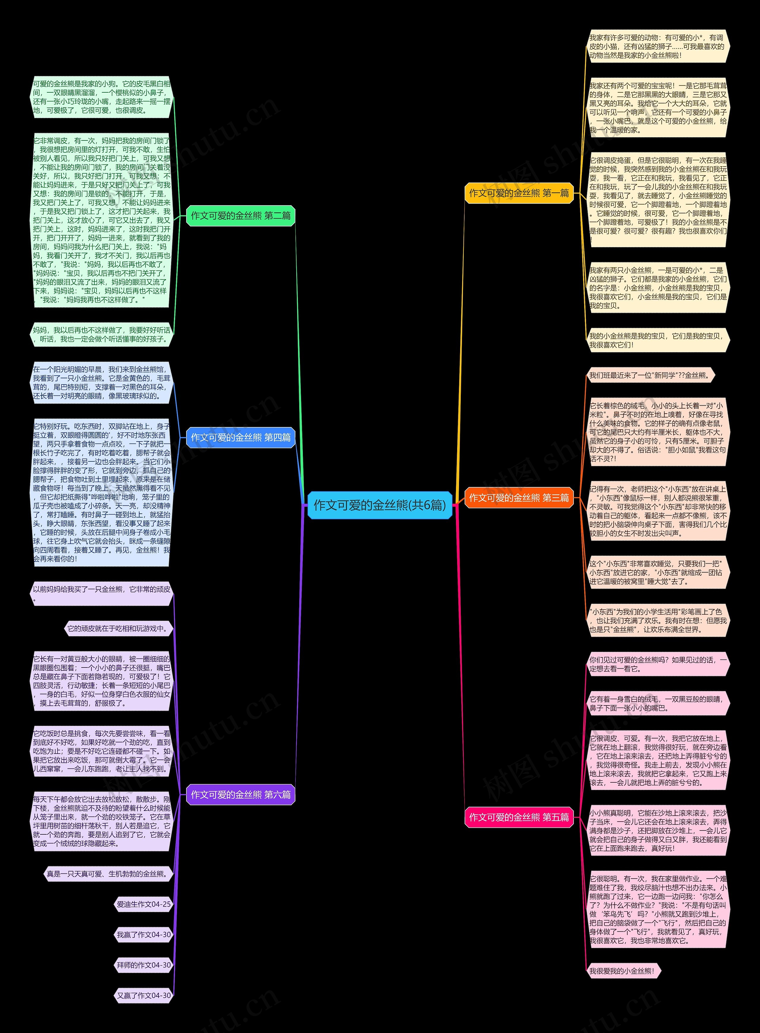 作文可爱的金丝熊(共6篇)思维导图