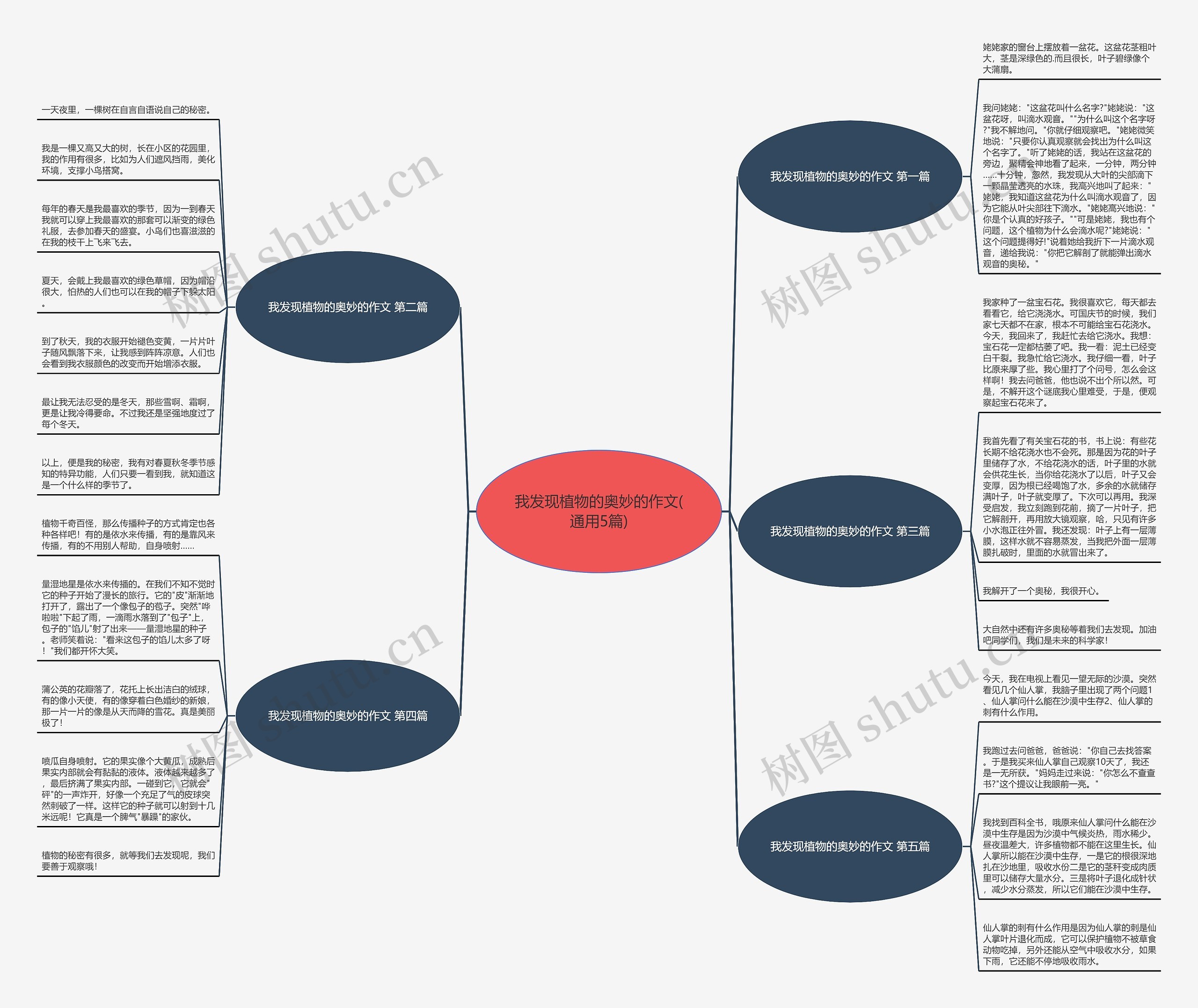 我发现植物的奥妙的作文(通用5篇)思维导图