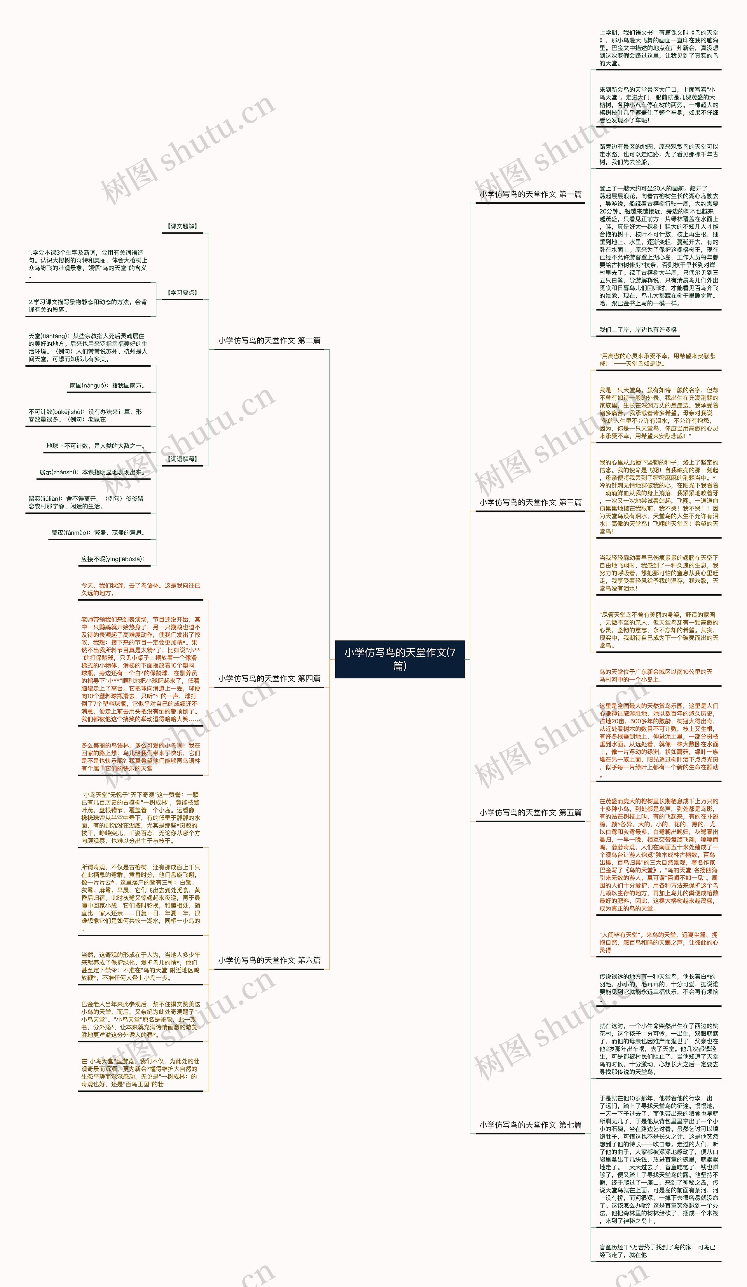 小学仿写鸟的天堂作文(7篇)思维导图