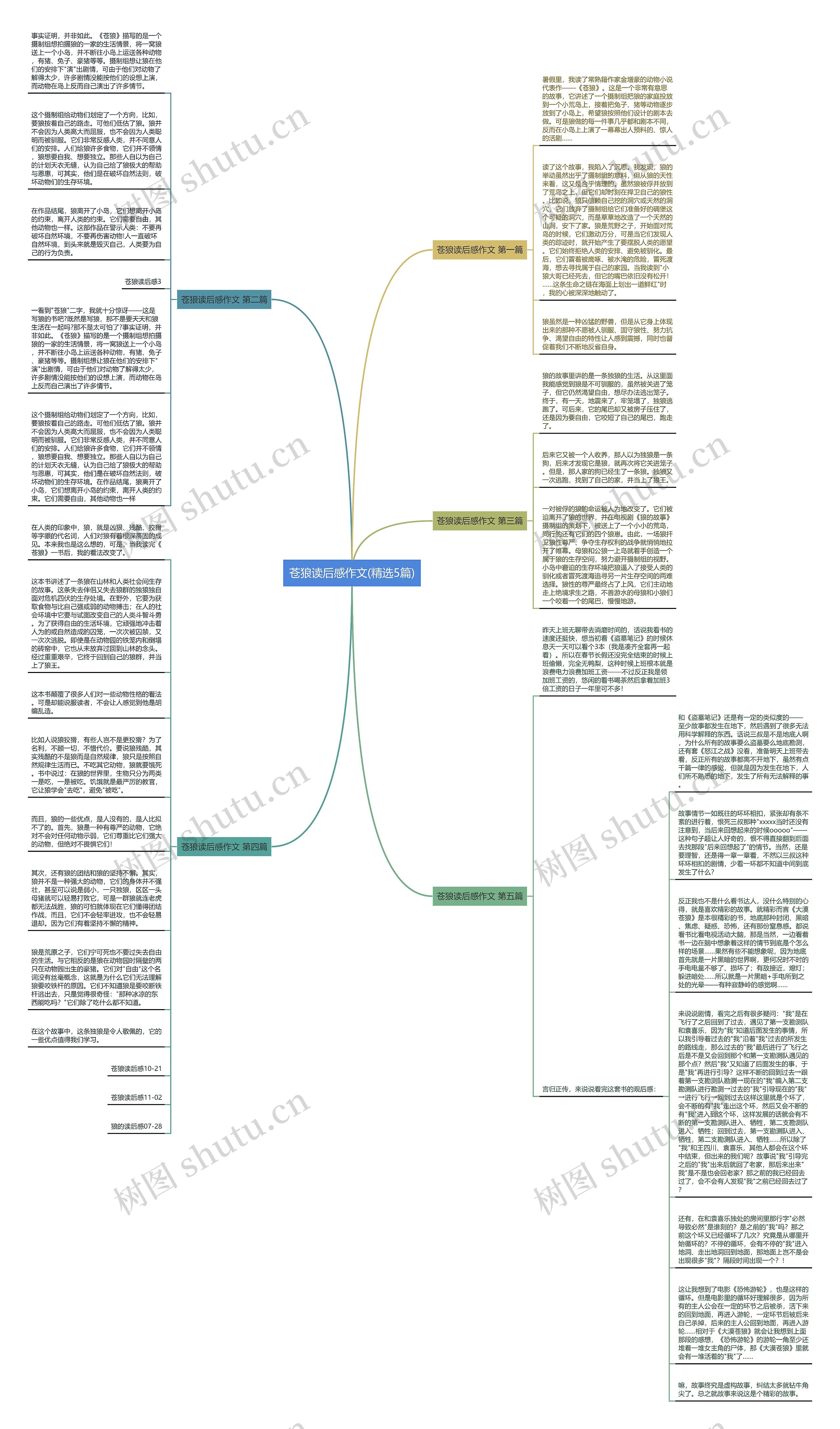 苍狼读后感作文(精选5篇)思维导图