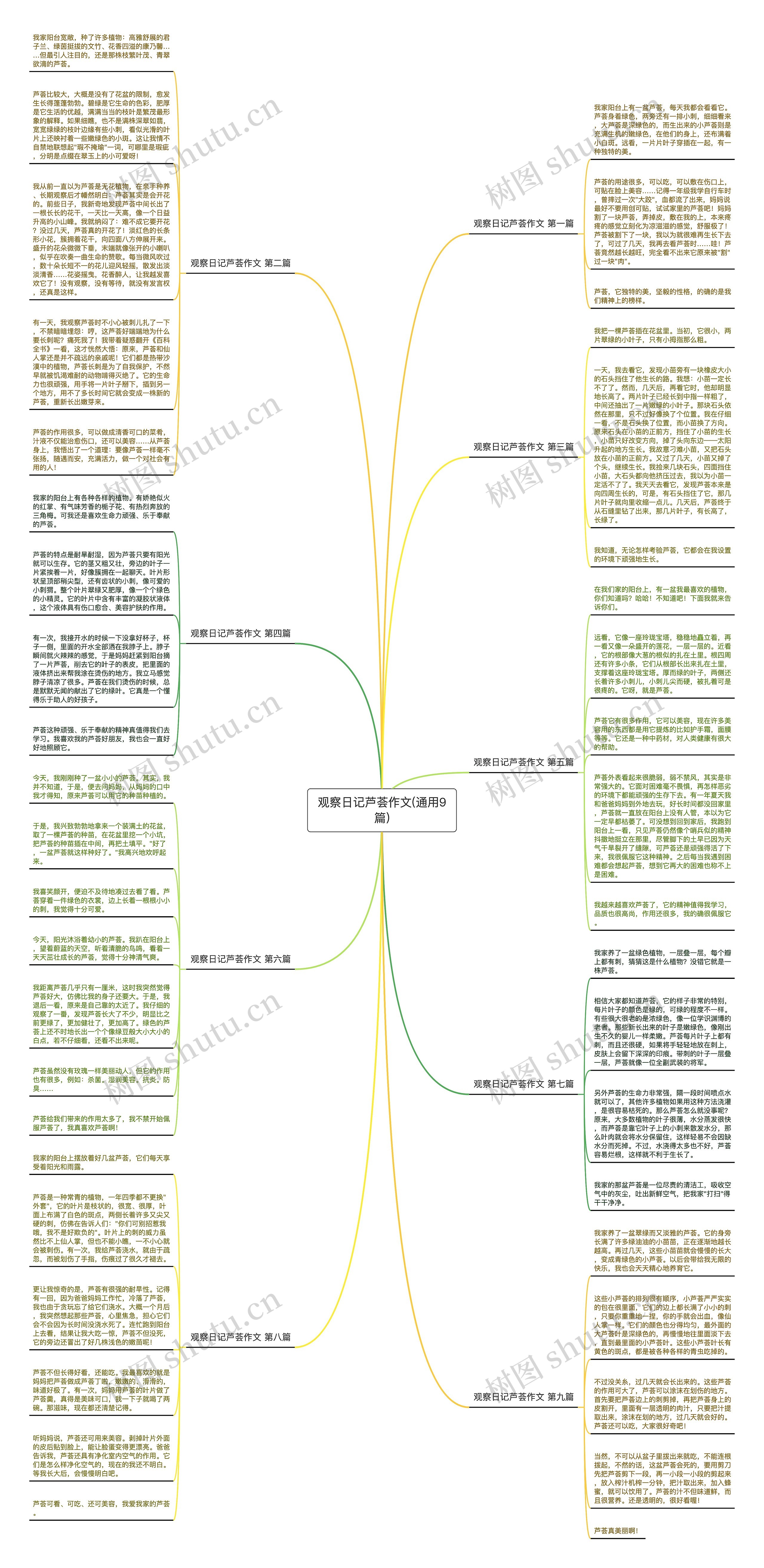 观察日记芦荟作文(通用9篇)思维导图