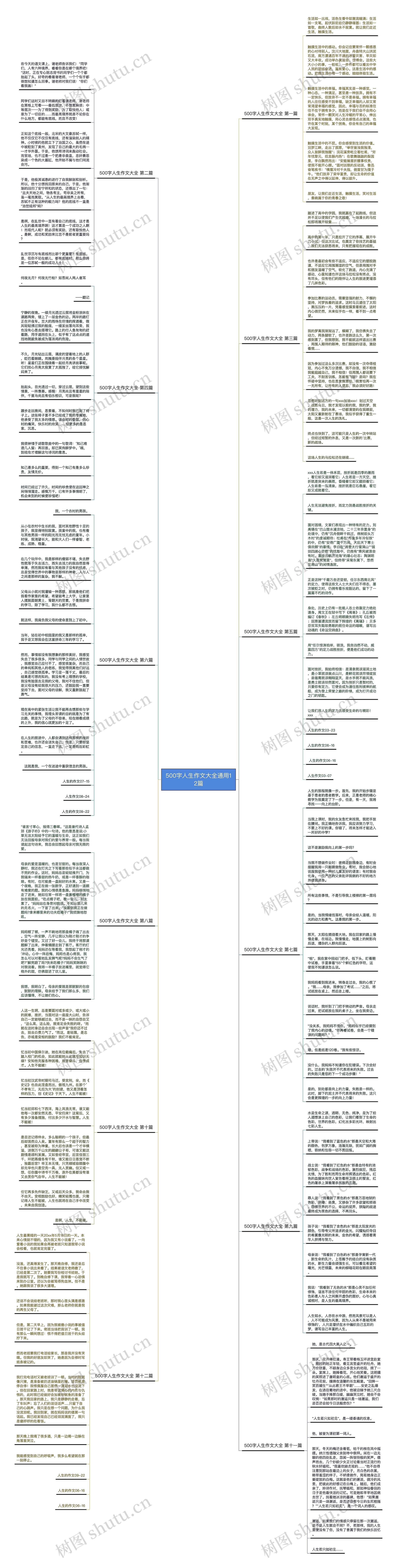 500字人生作文大全通用12篇思维导图
