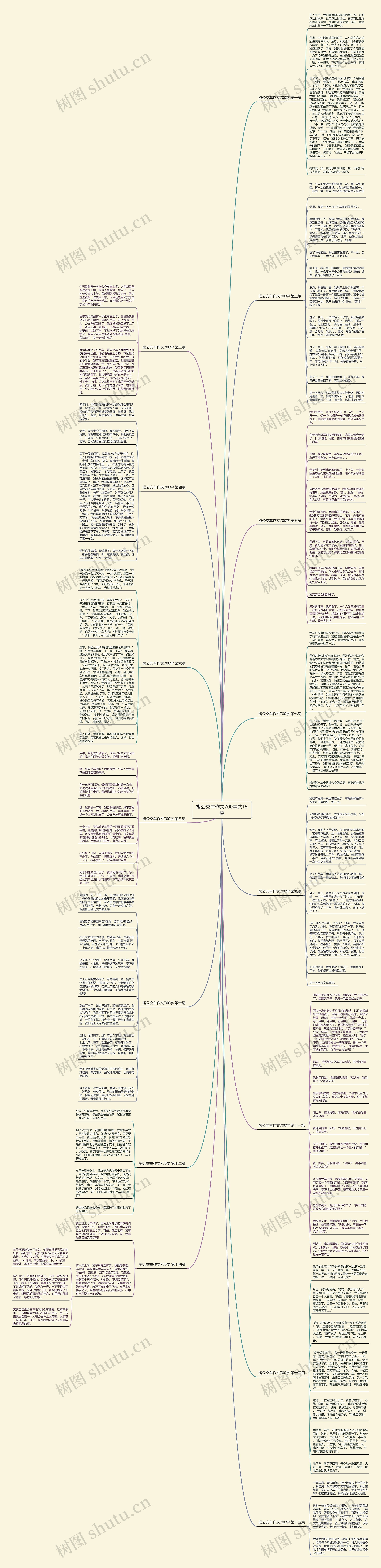 搭公交车作文700字共15篇思维导图