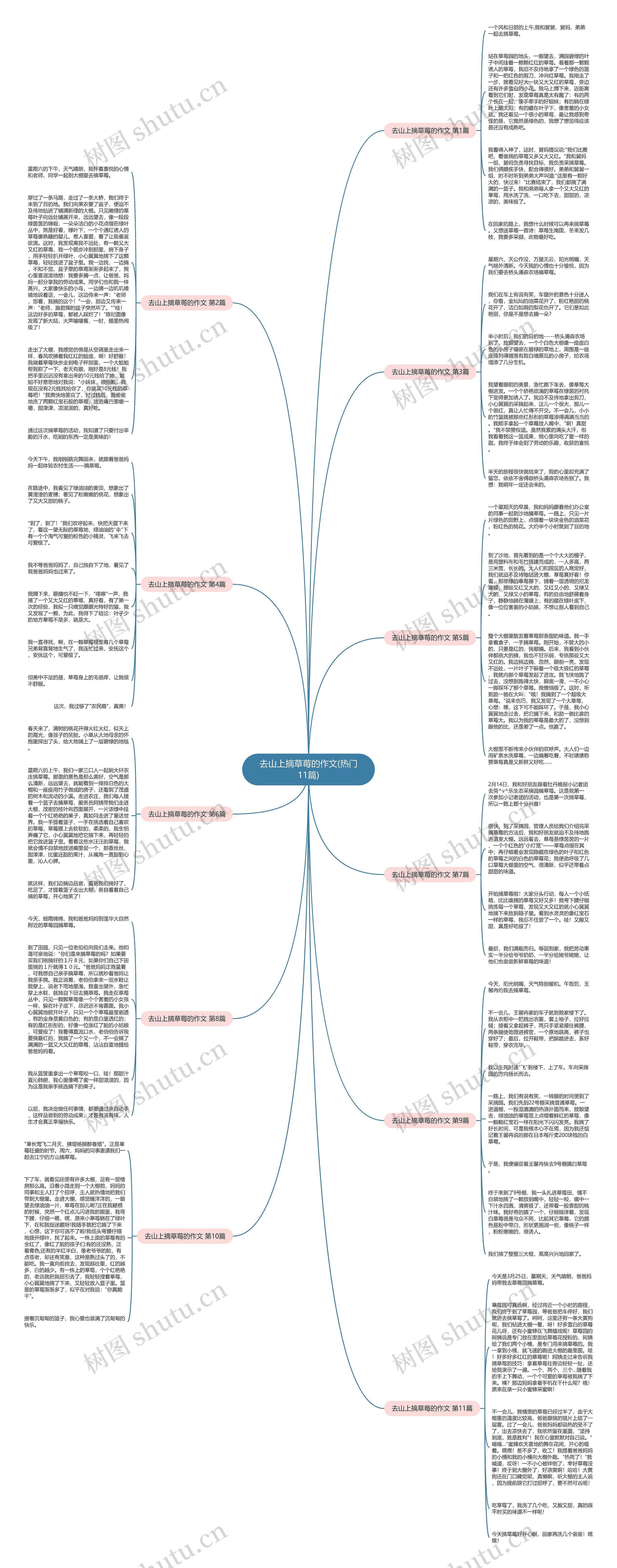 去山上摘草莓的作文(热门11篇)思维导图