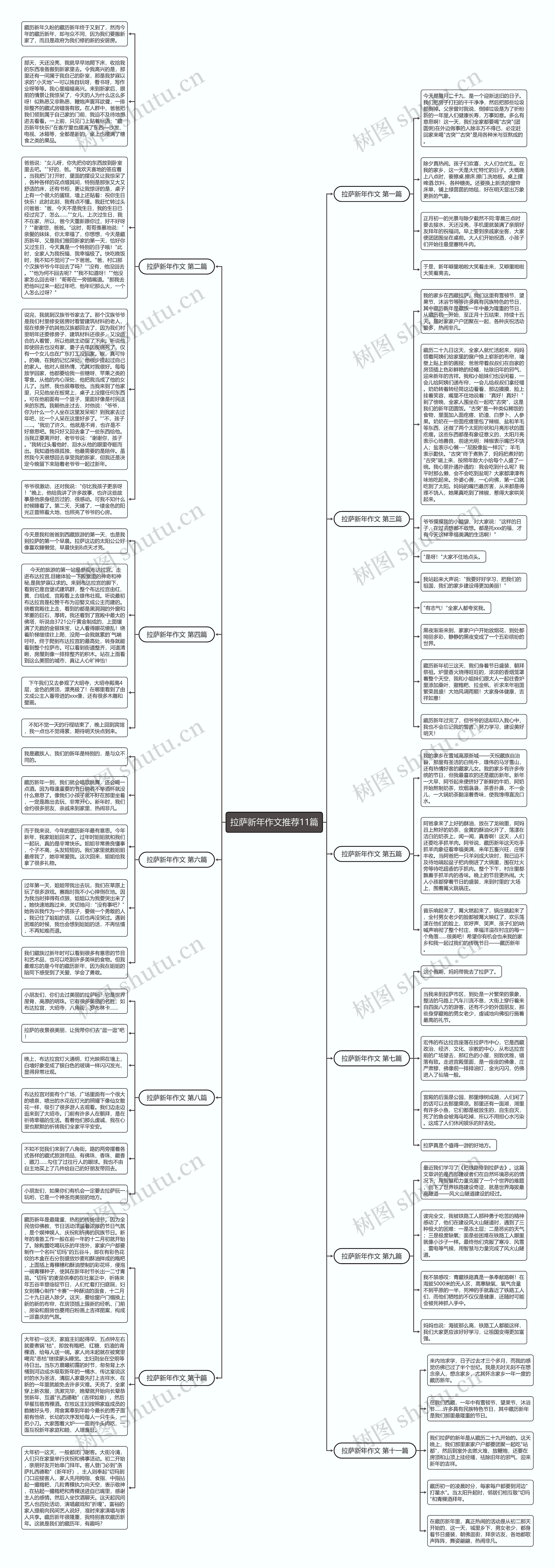 拉萨新年作文推荐11篇思维导图