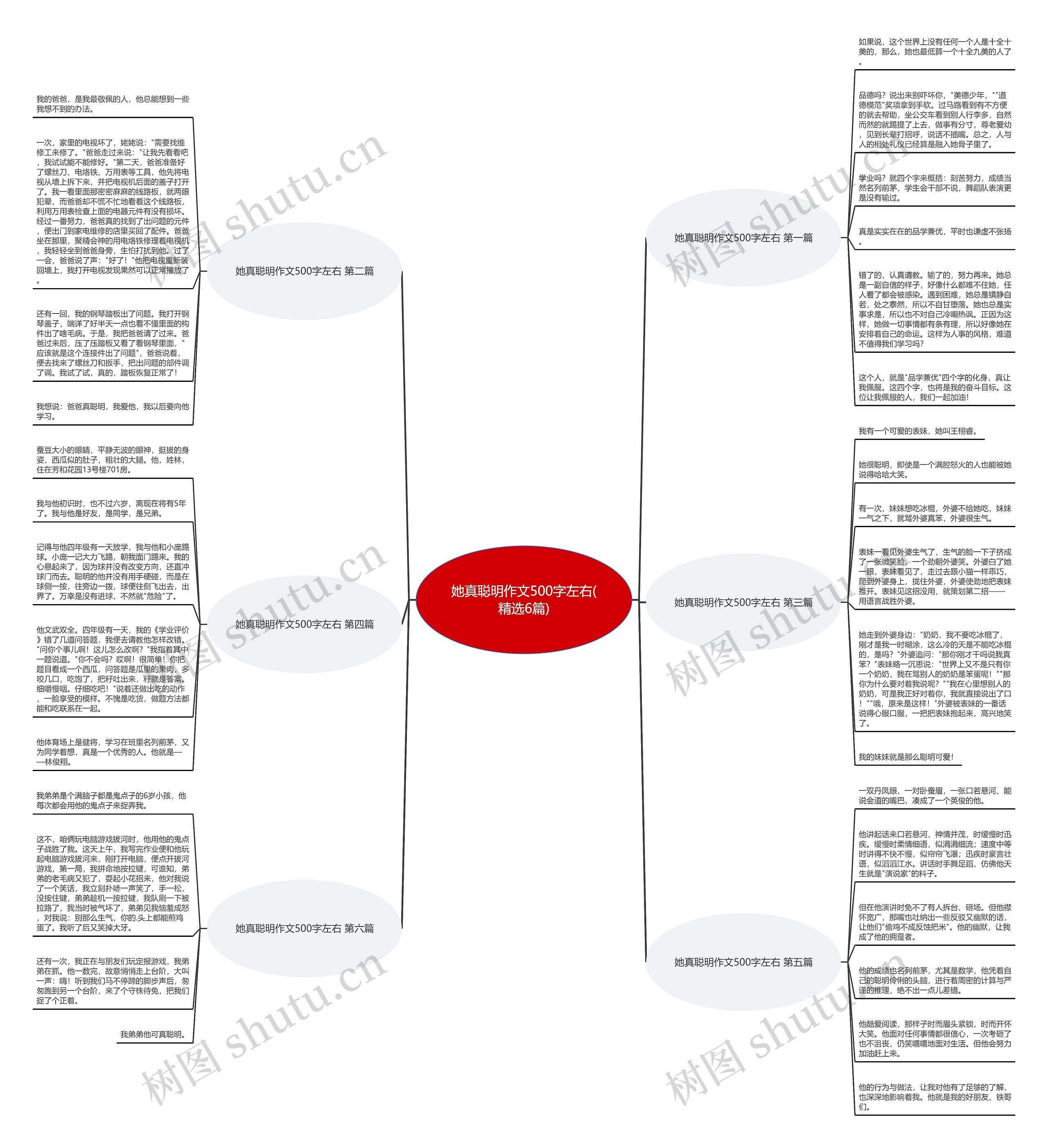她真聪明作文500字左右(精选6篇)思维导图