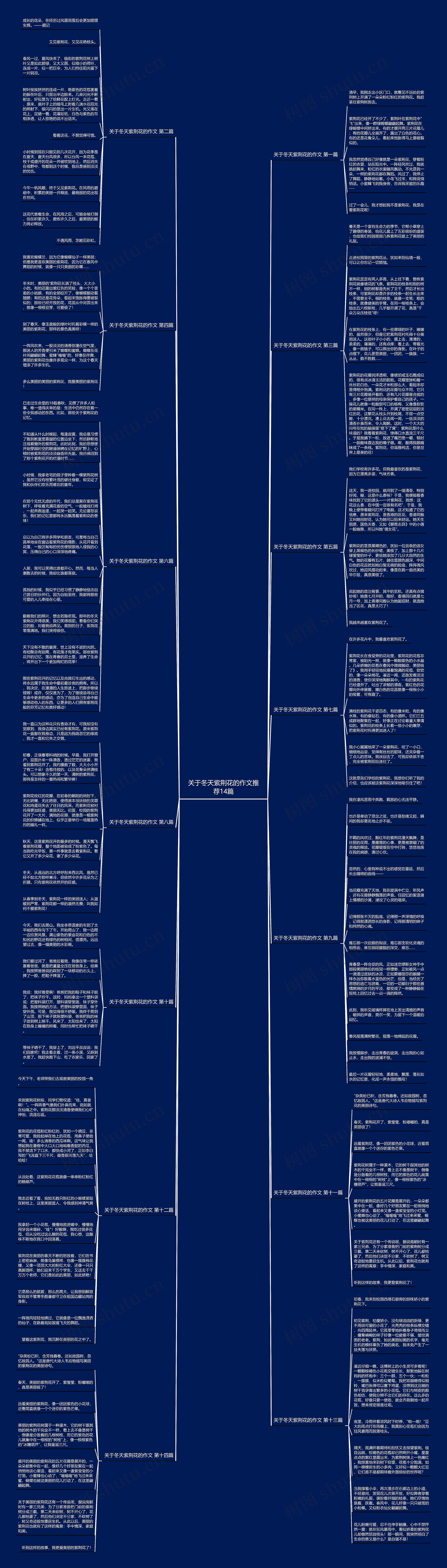关于冬天紫荆花的作文推荐14篇思维导图