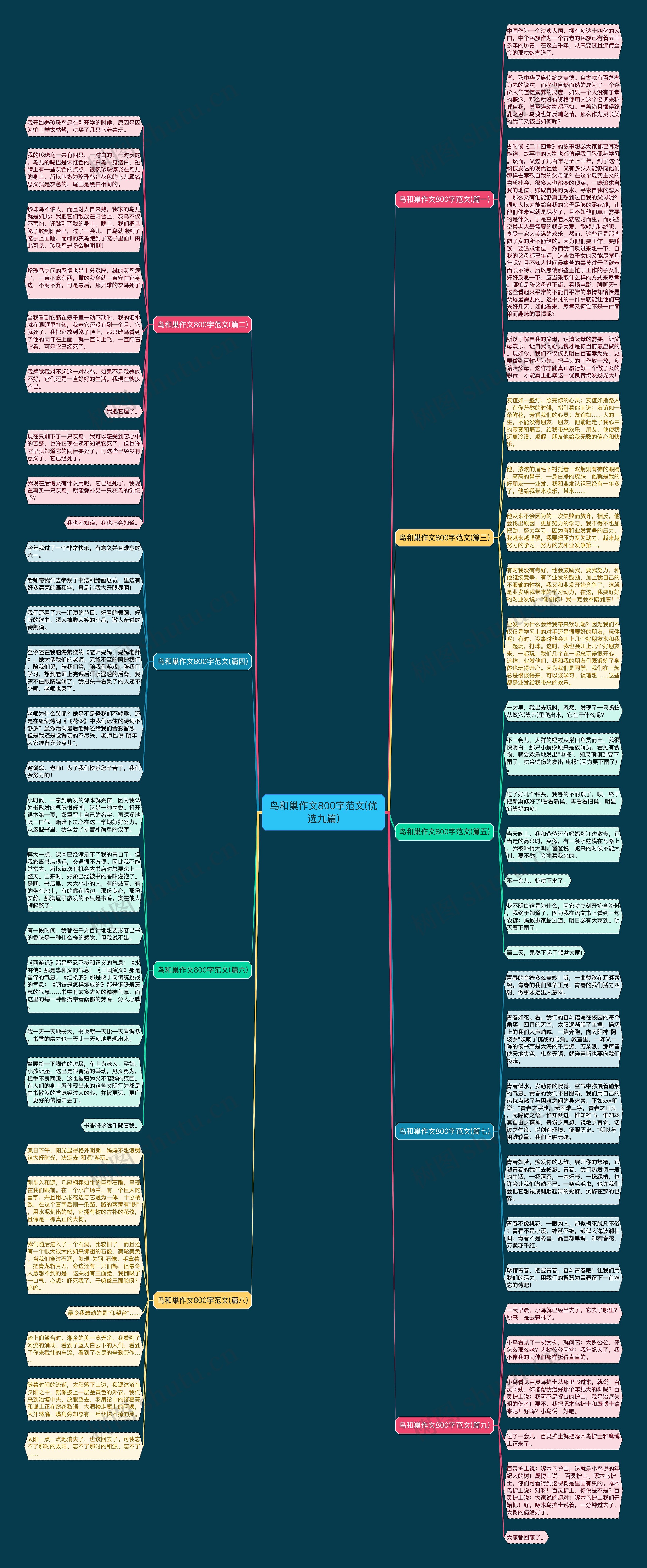 鸟和巢作文800字范文(优选九篇)思维导图