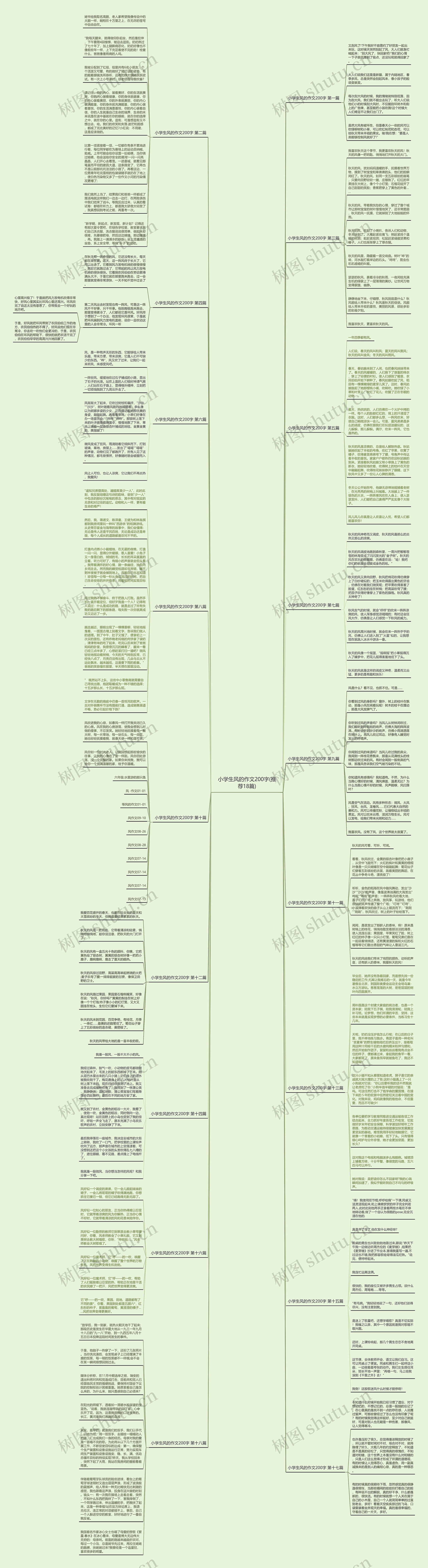 小学生风的作文200字(推荐18篇)思维导图