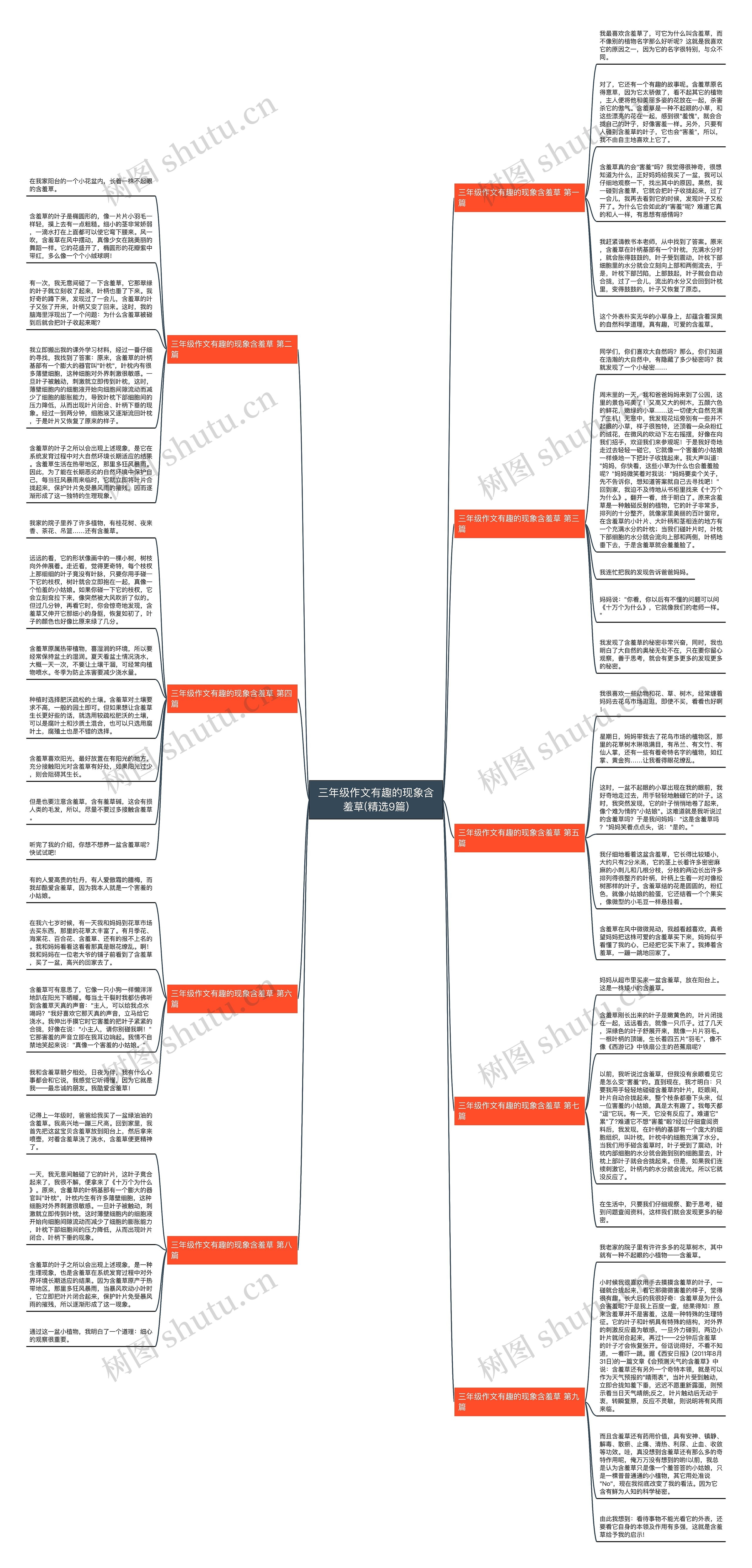 三年级作文有趣的现象含羞草(精选9篇)思维导图