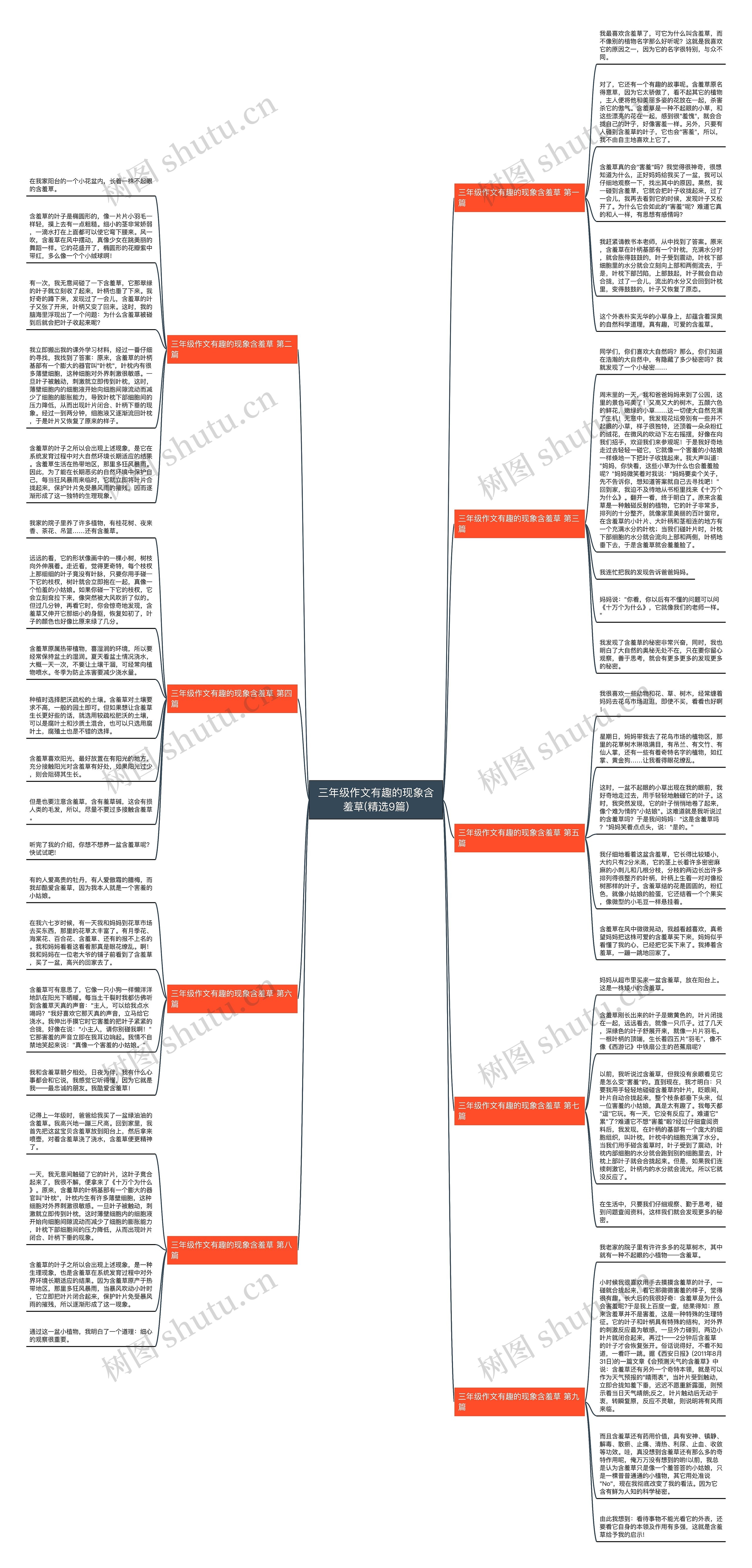 三年级作文有趣的现象含羞草(精选9篇) 三年级作文有趣的现象含羞草(精选9篇)