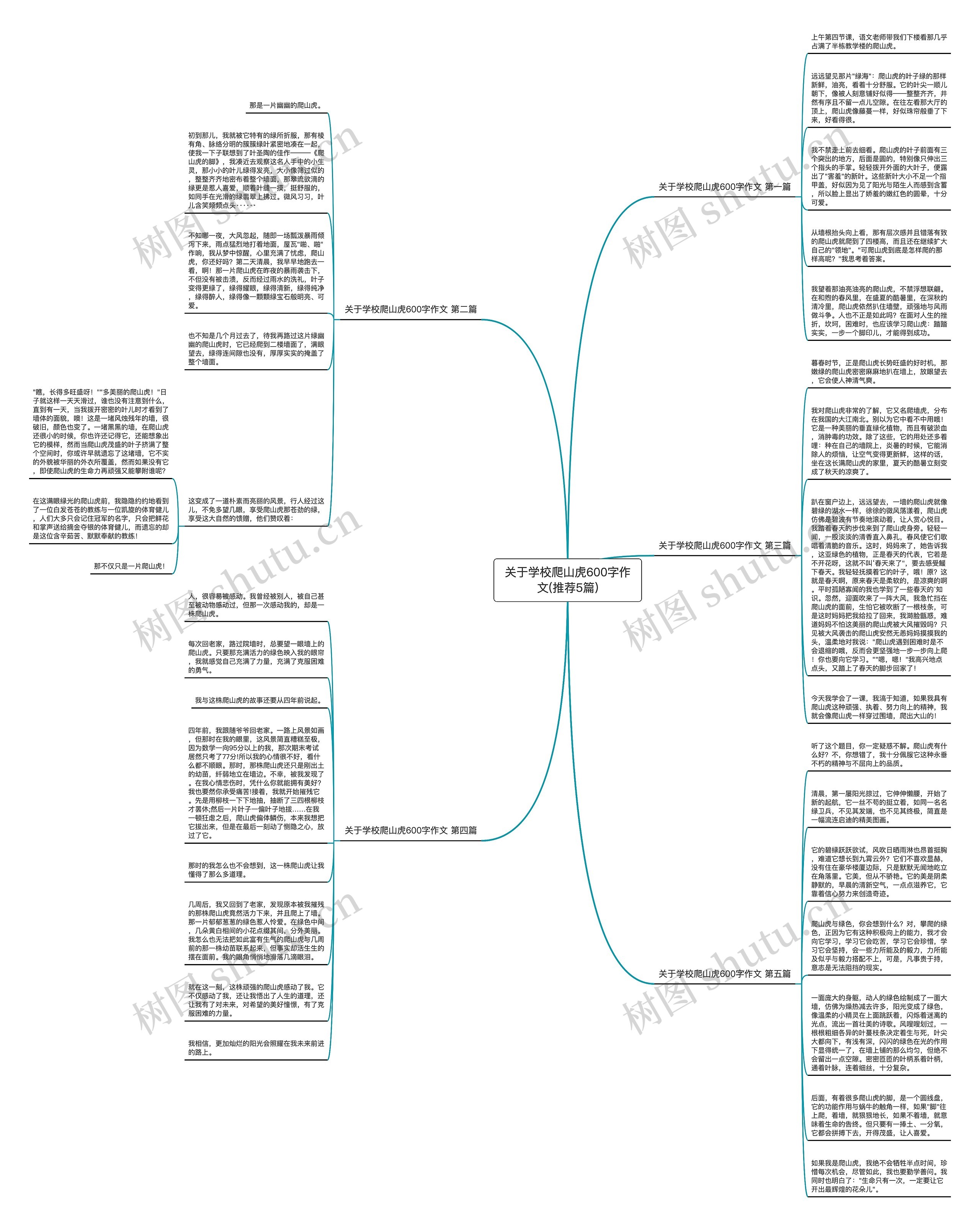 关于学校爬山虎600字作文(推荐5篇)思维导图