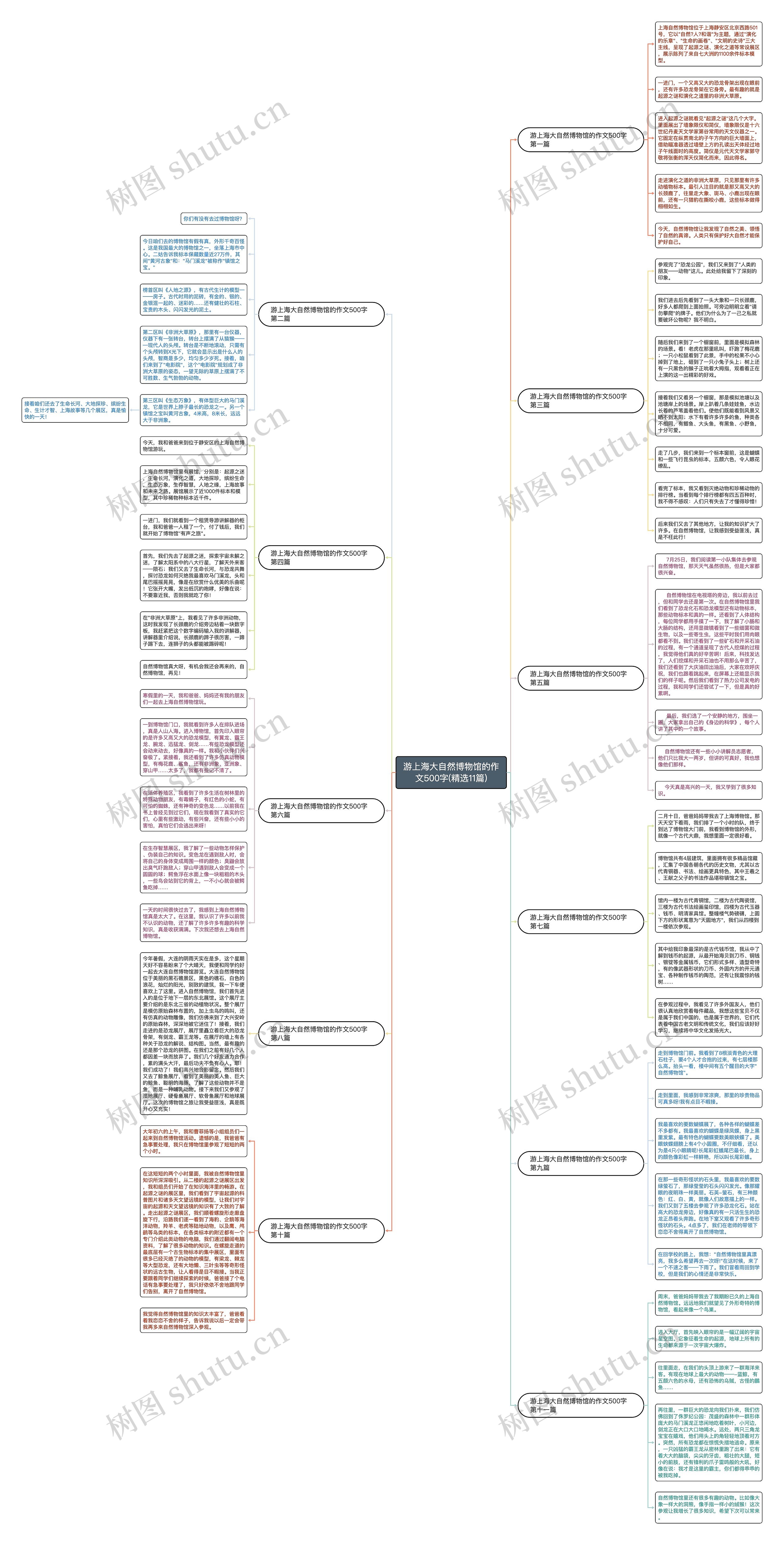 游上海大自然博物馆的作文500字(精选11篇)思维导图