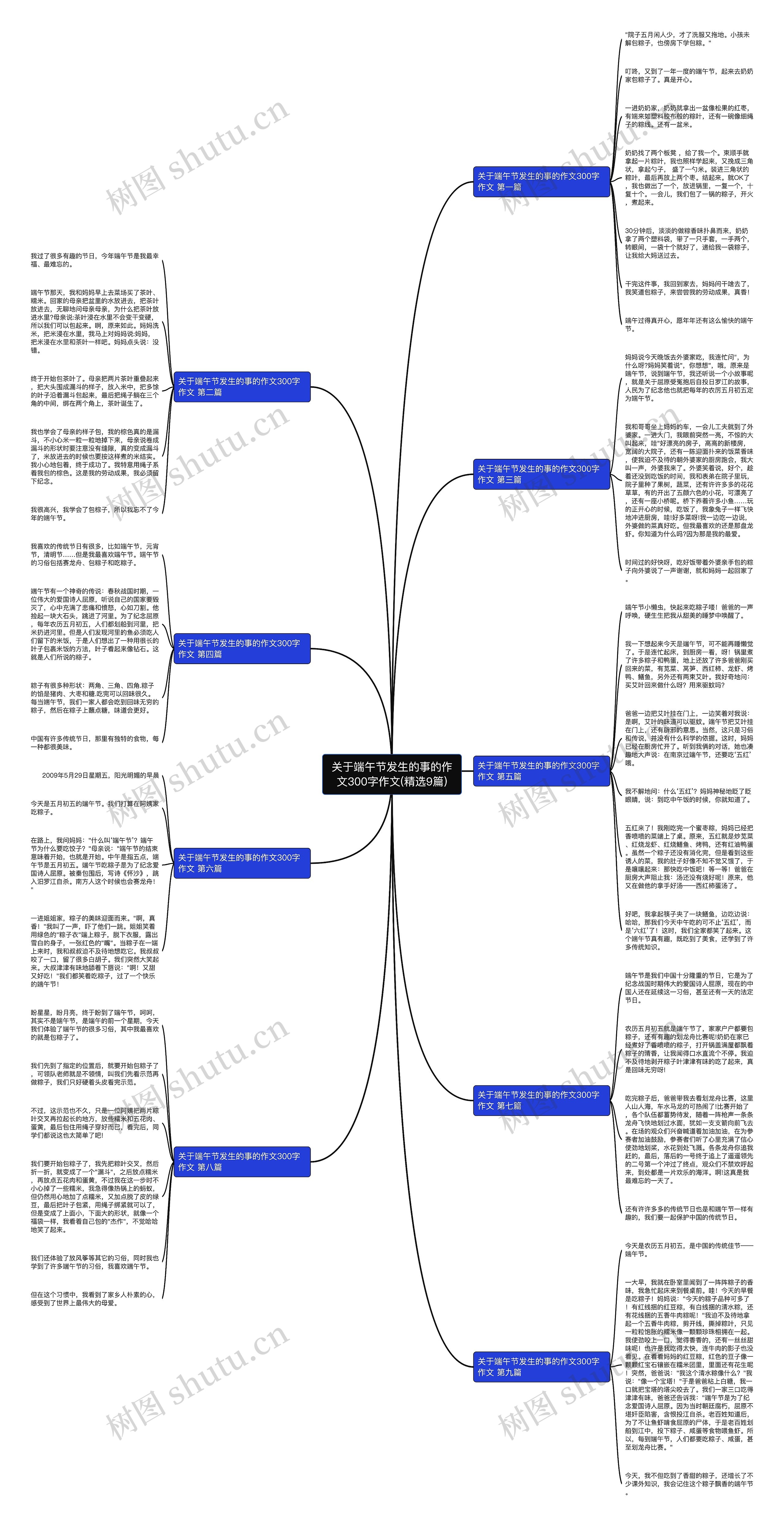 关于端午节发生的事的作文300字作文(精选9篇)思维导图